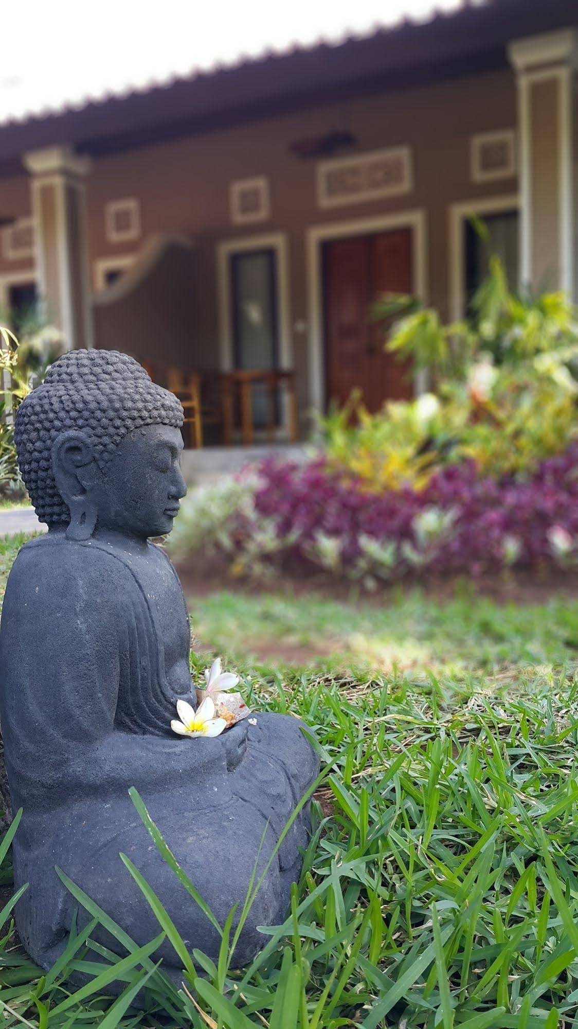 Mango Tree Inn