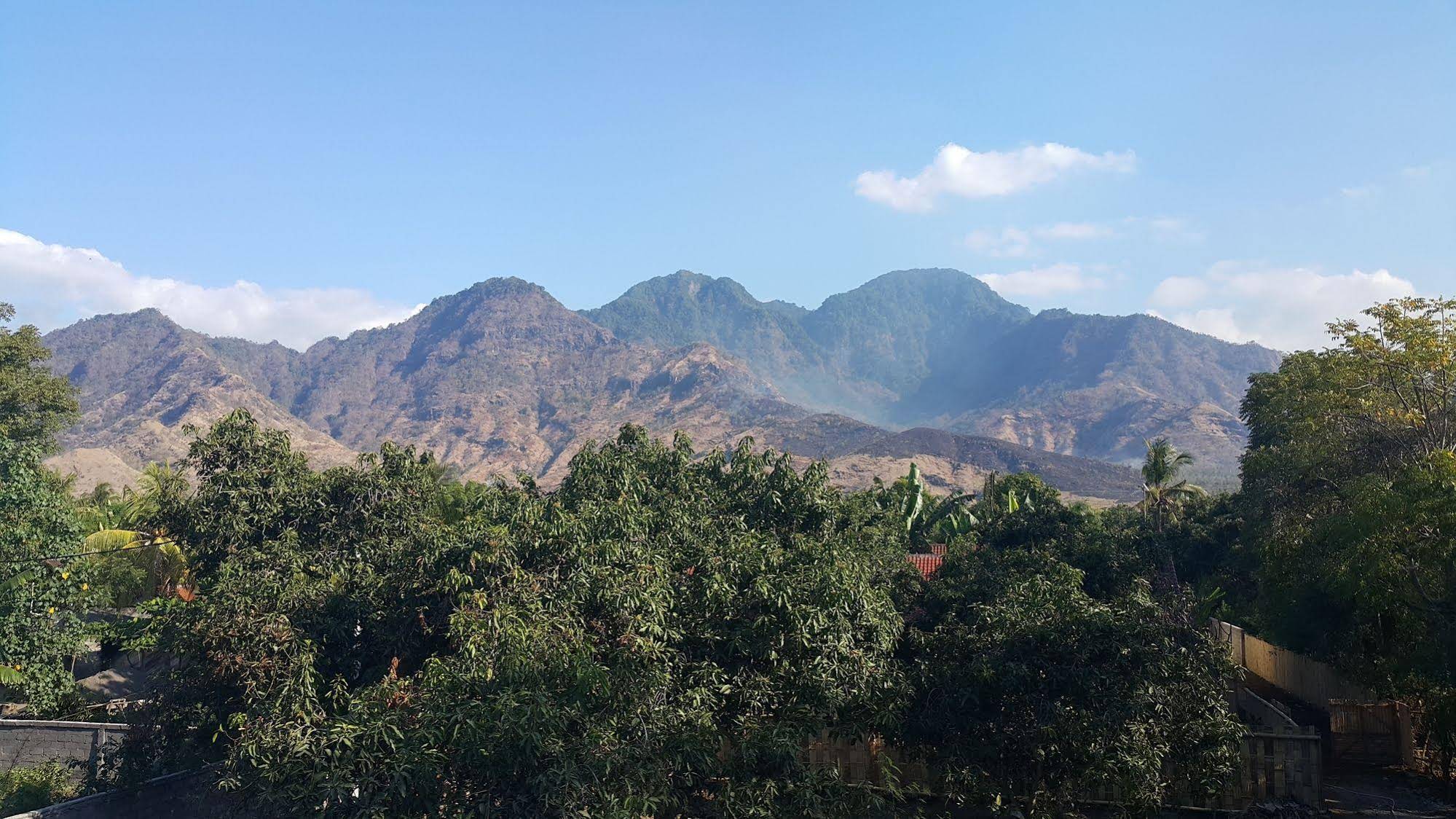 Mango Tree Inn