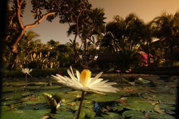 Pondok Sari Beach & Spa Resort