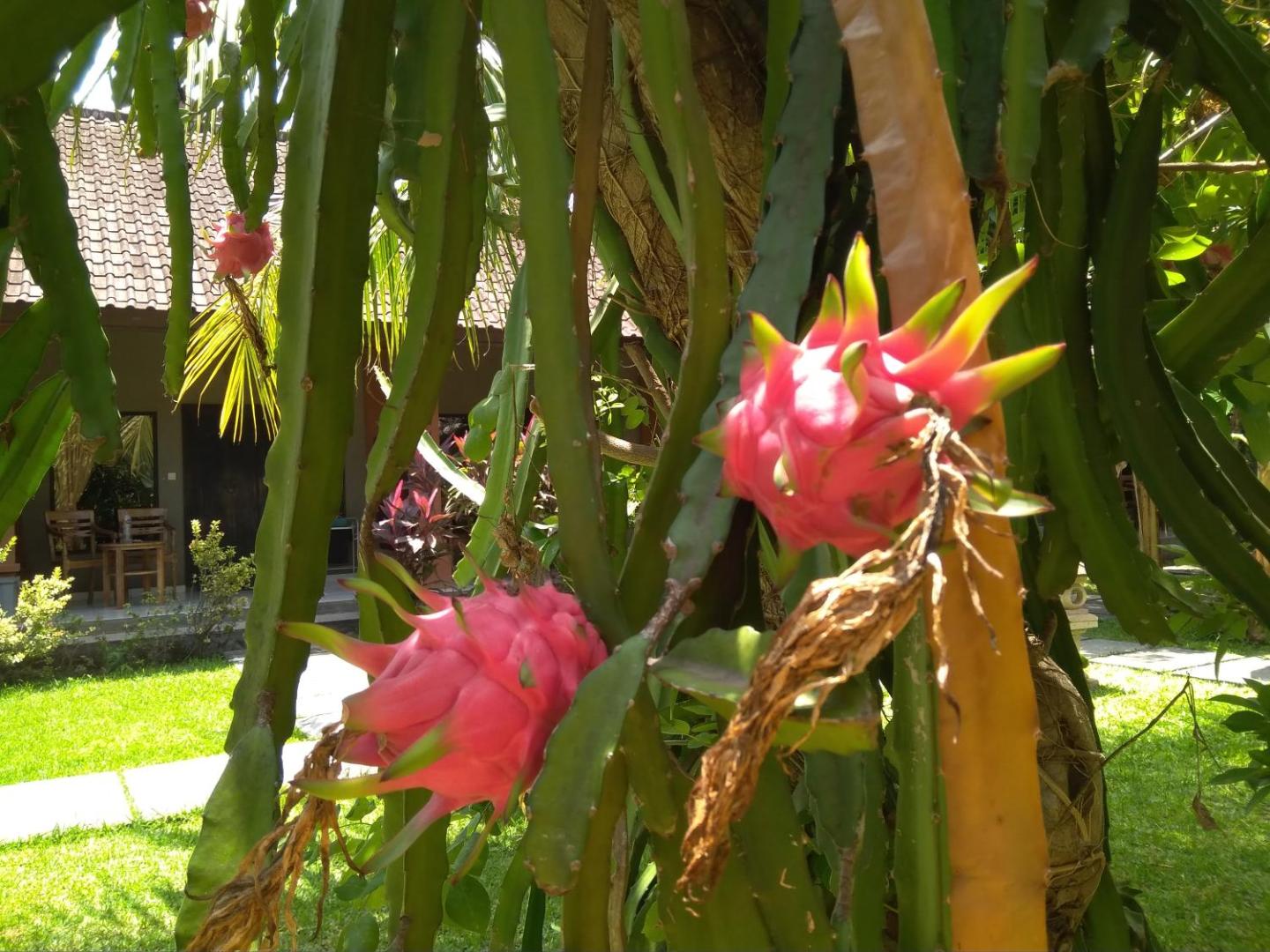 Suka Sari Cottages