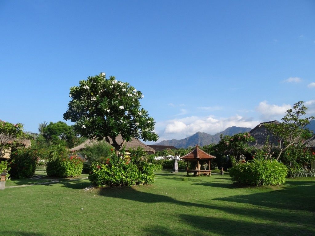 Sunia Loka