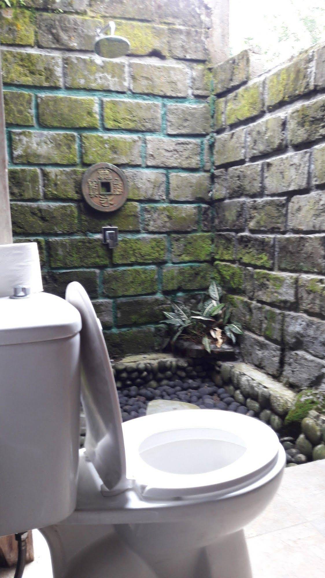 Tepi Sawah Lodge