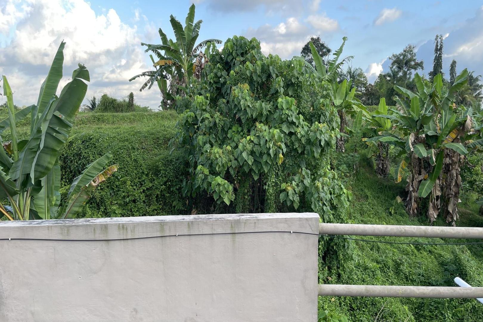 Mongan Homestay Beside The Belulang Hot Spring