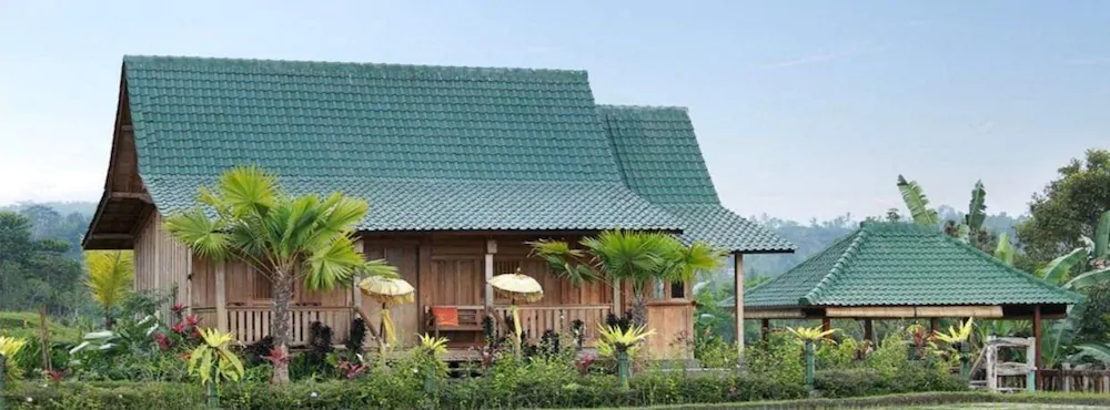 Ti Amo Bali