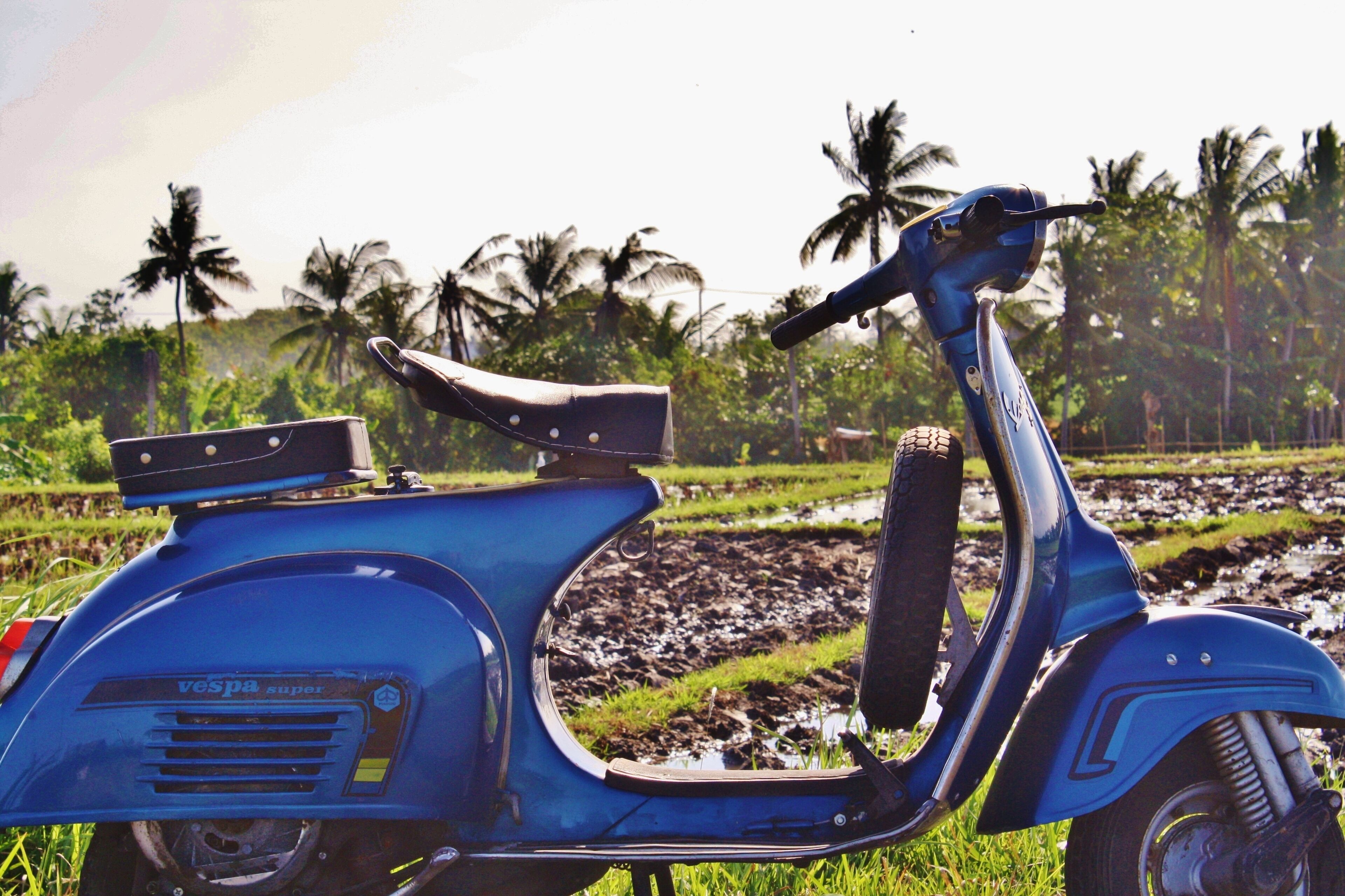 Echo Beach Villa & Apartment