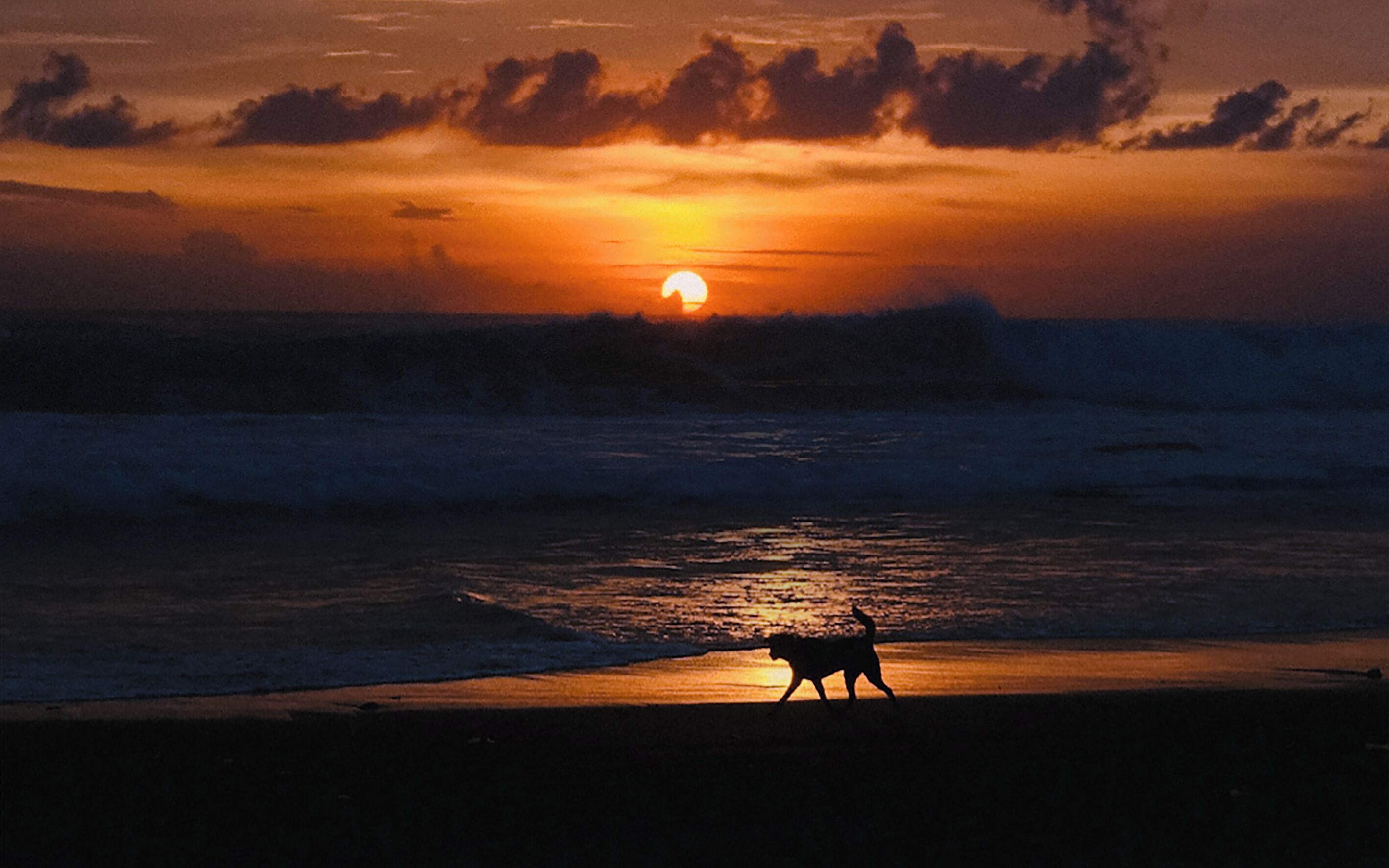 Noema Resort Pererenan