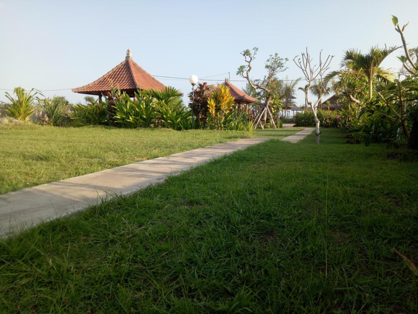 Emir Surfcamp