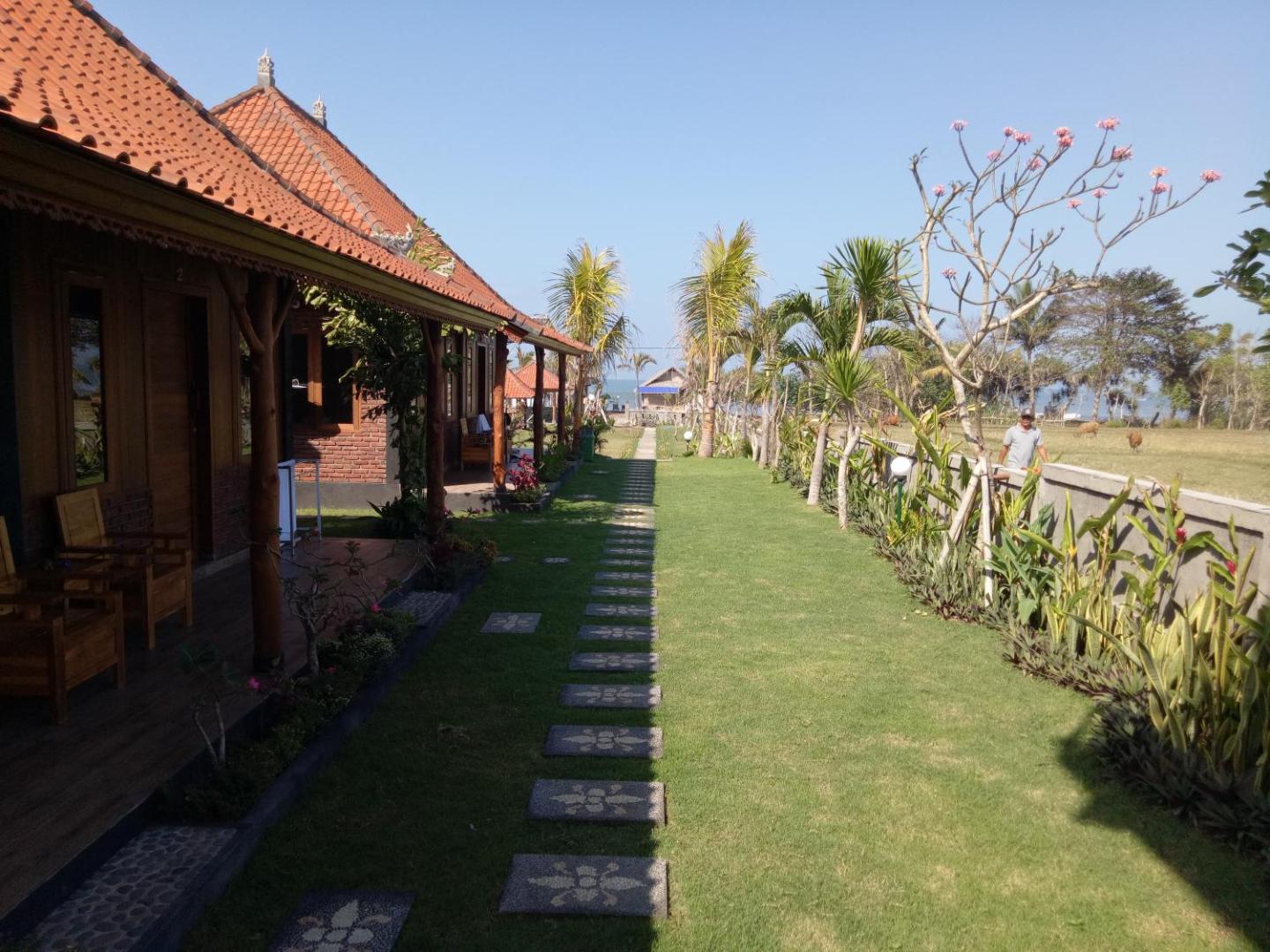 Emir Surfcamp