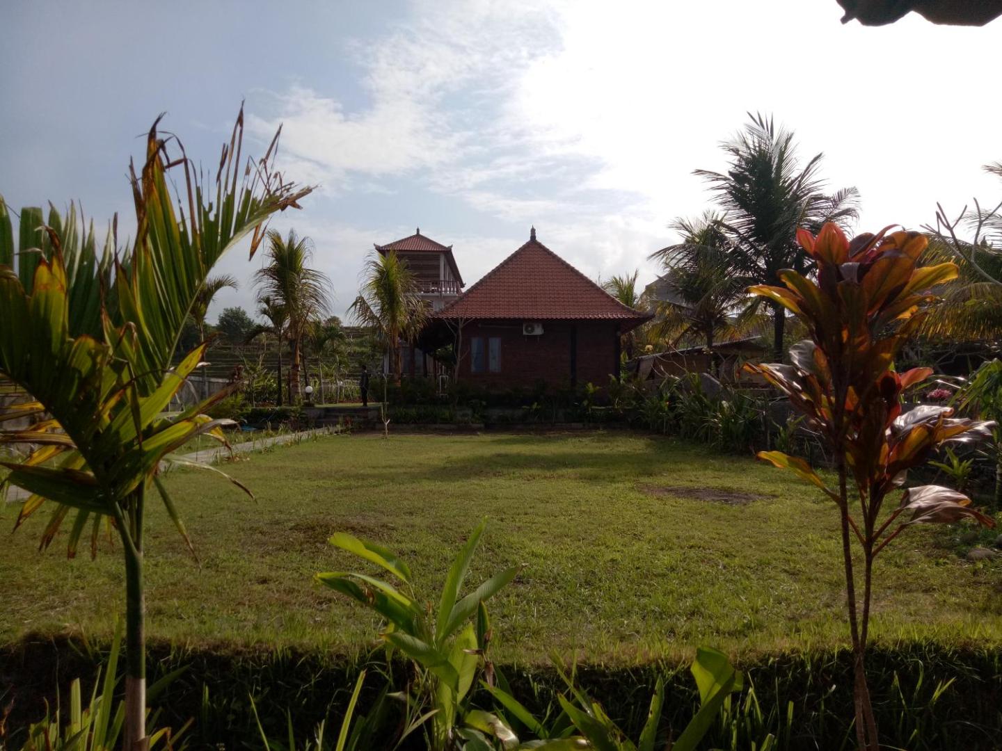 Emir Surfcamp