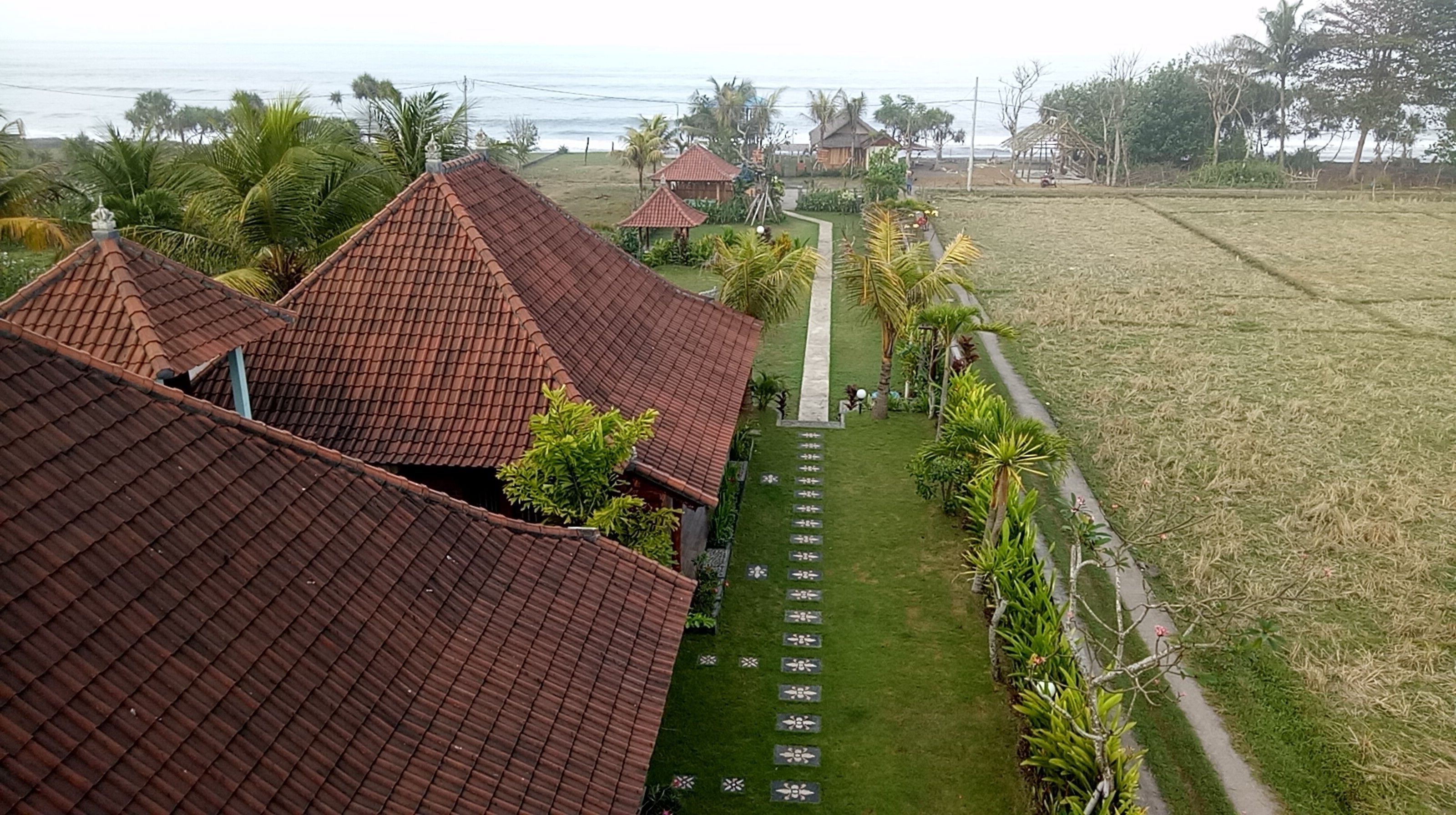 Emir Surfcamp
