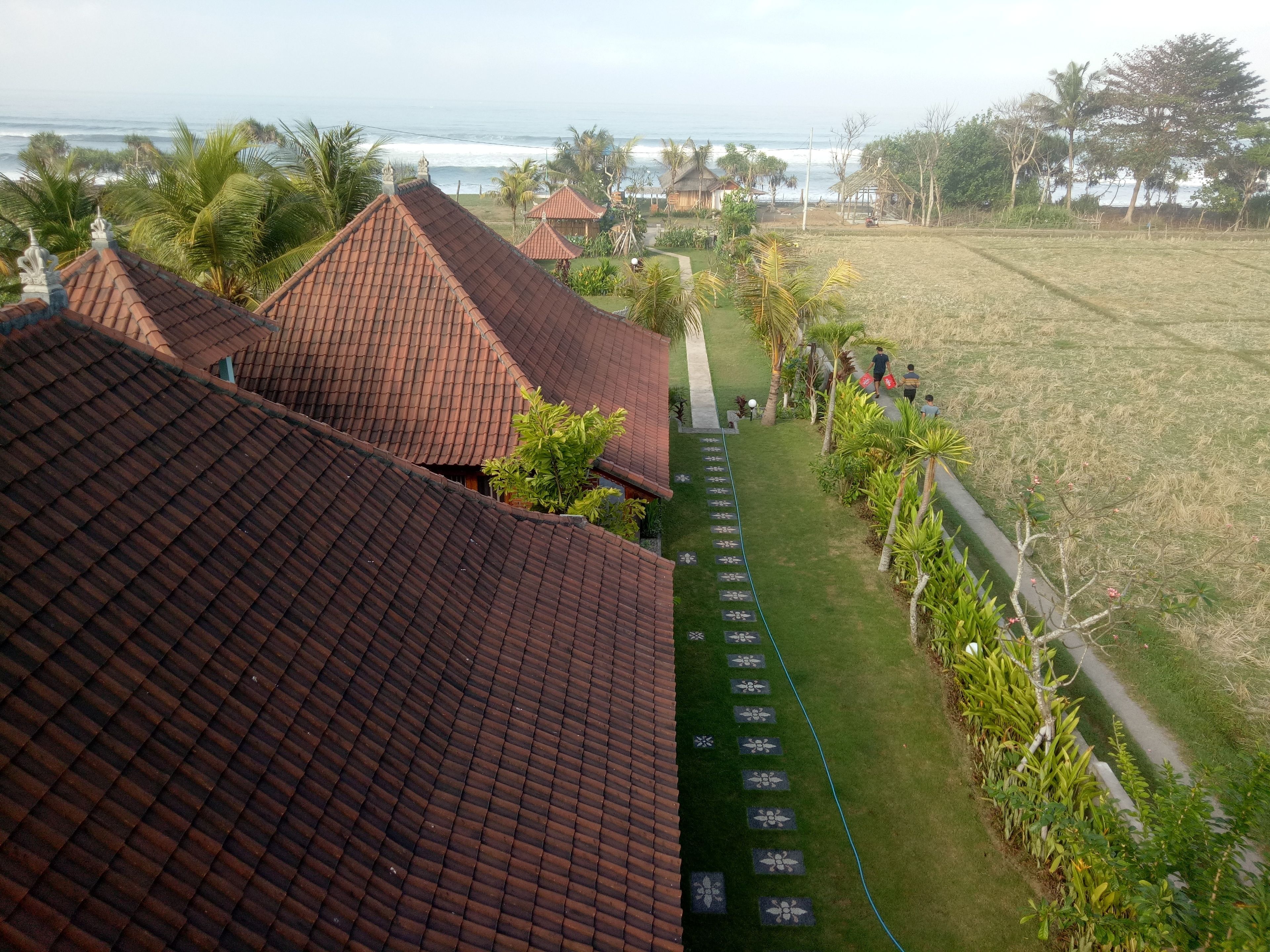 Emir Surfcamp