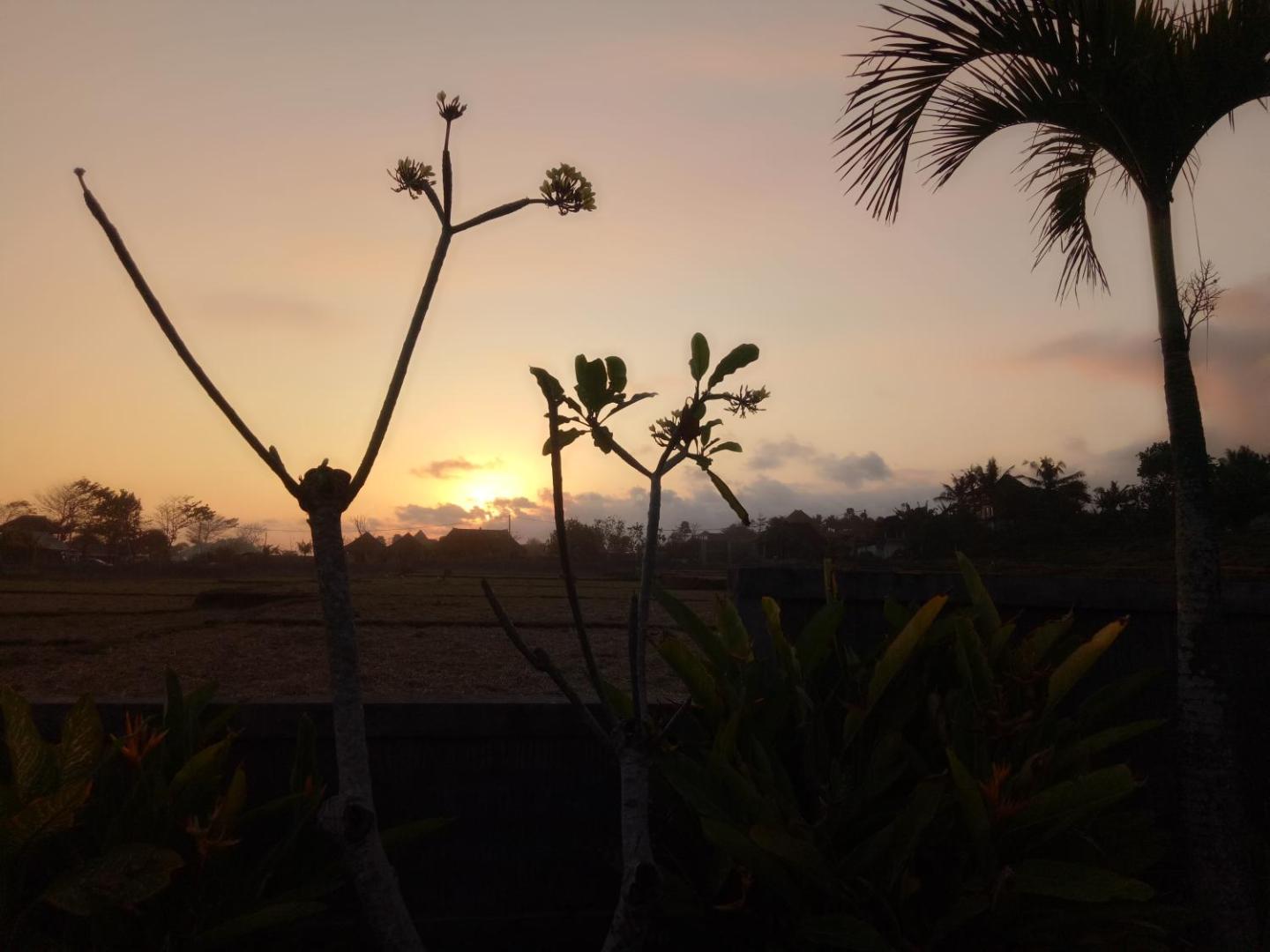 Emir Surfcamp