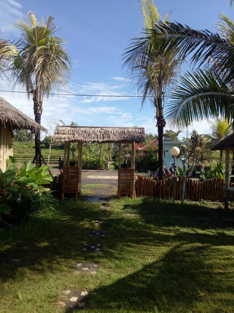 Emir Surfcamp