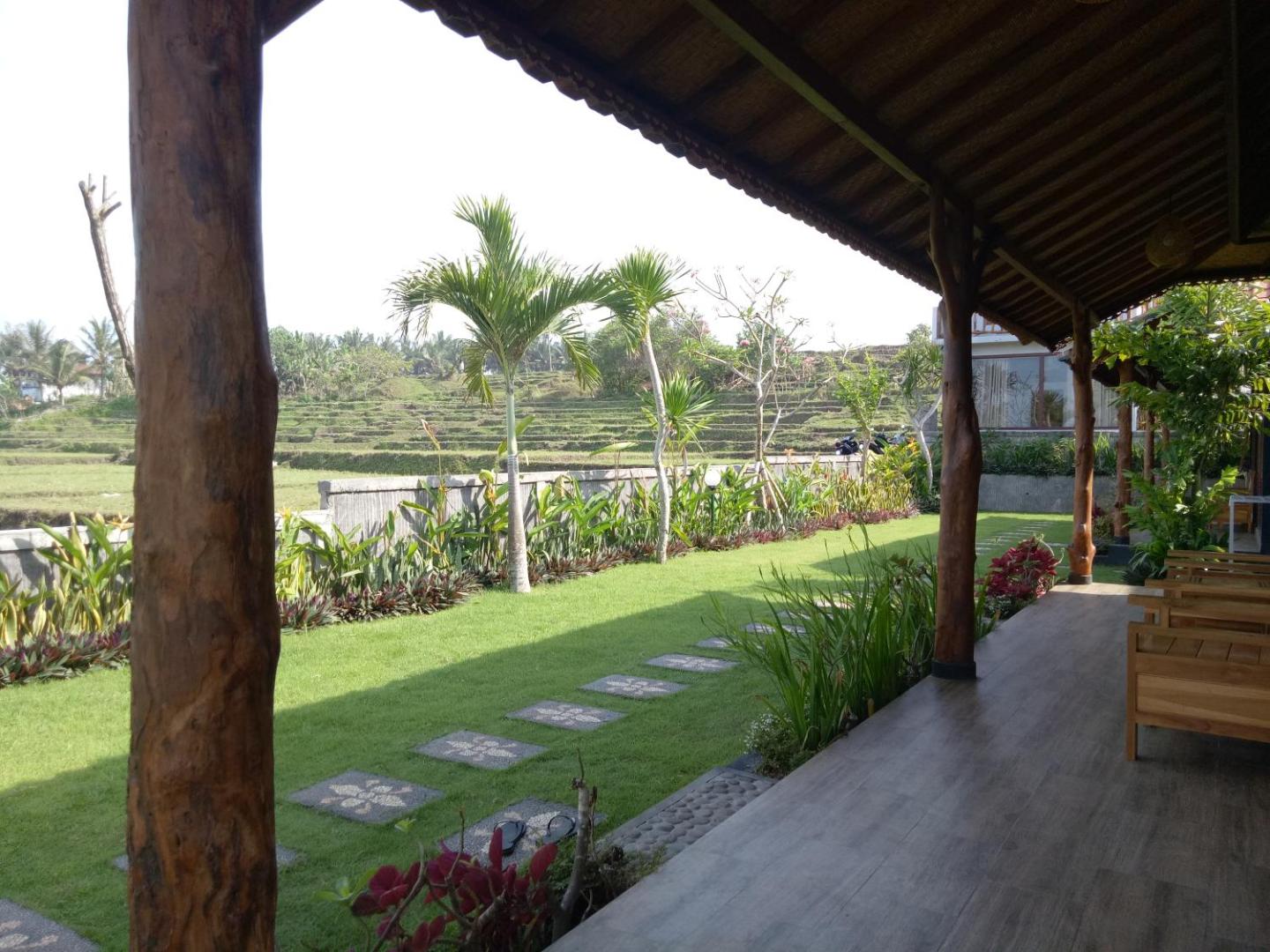 Emir Surfcamp