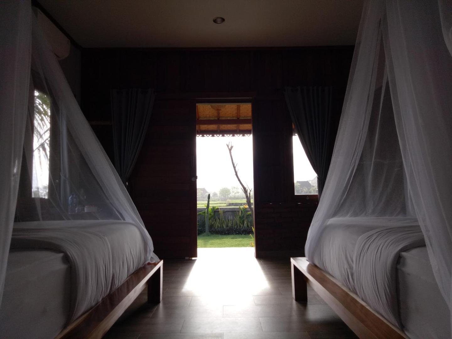 Emir Surfcamp