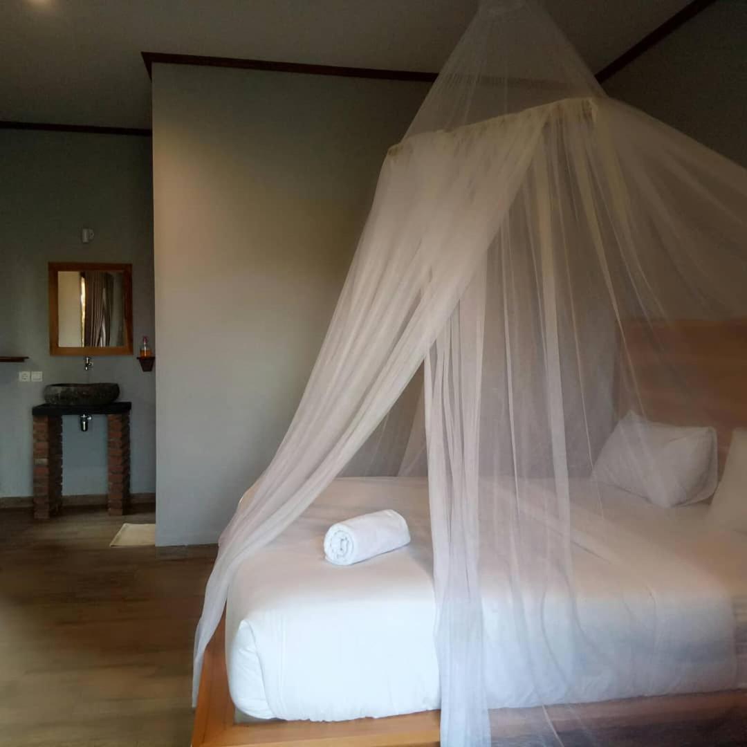 Emir Surfcamp