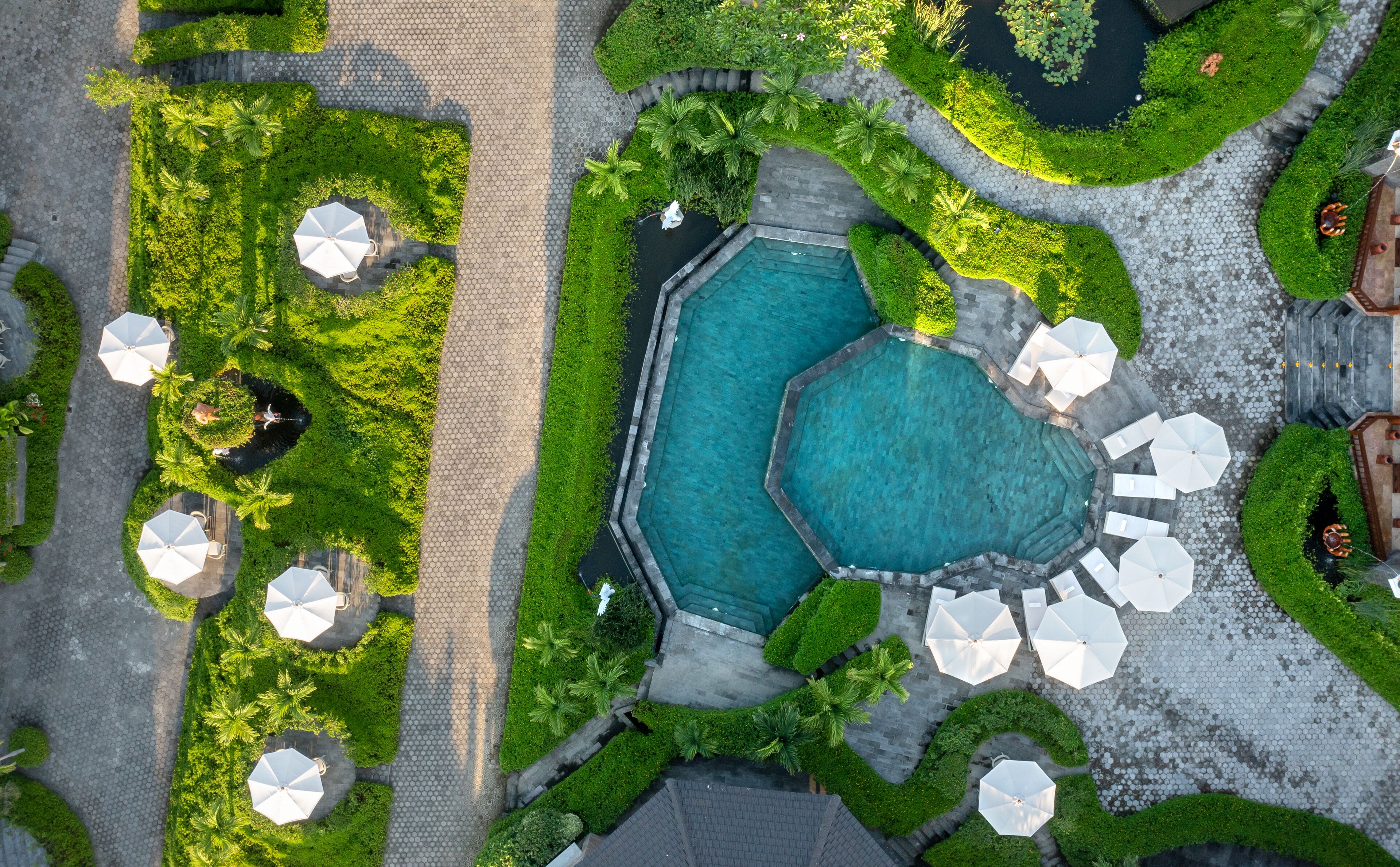 Swan Paradise a Pramana Experience