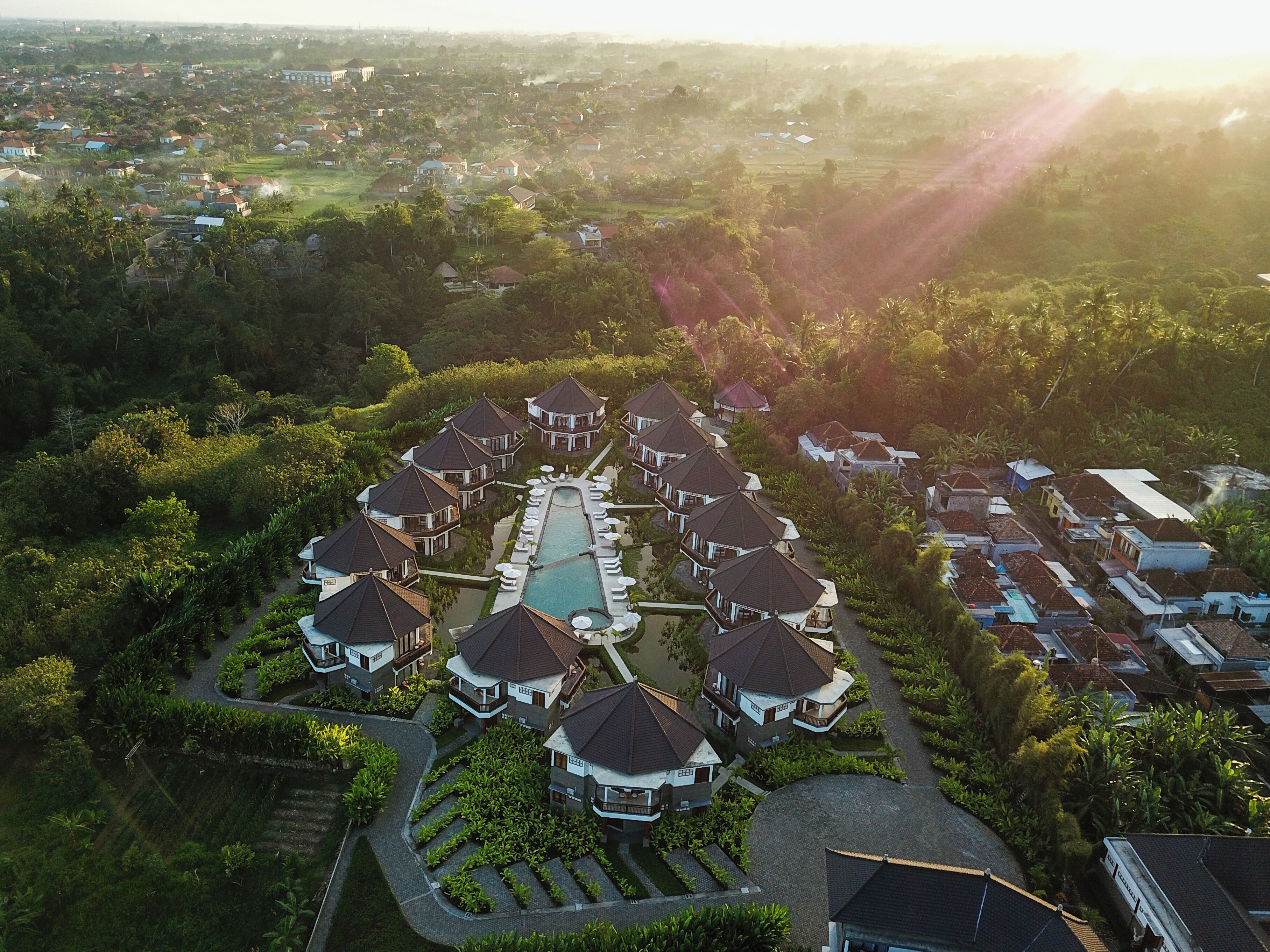 Swan Paradise a Pramana Experience