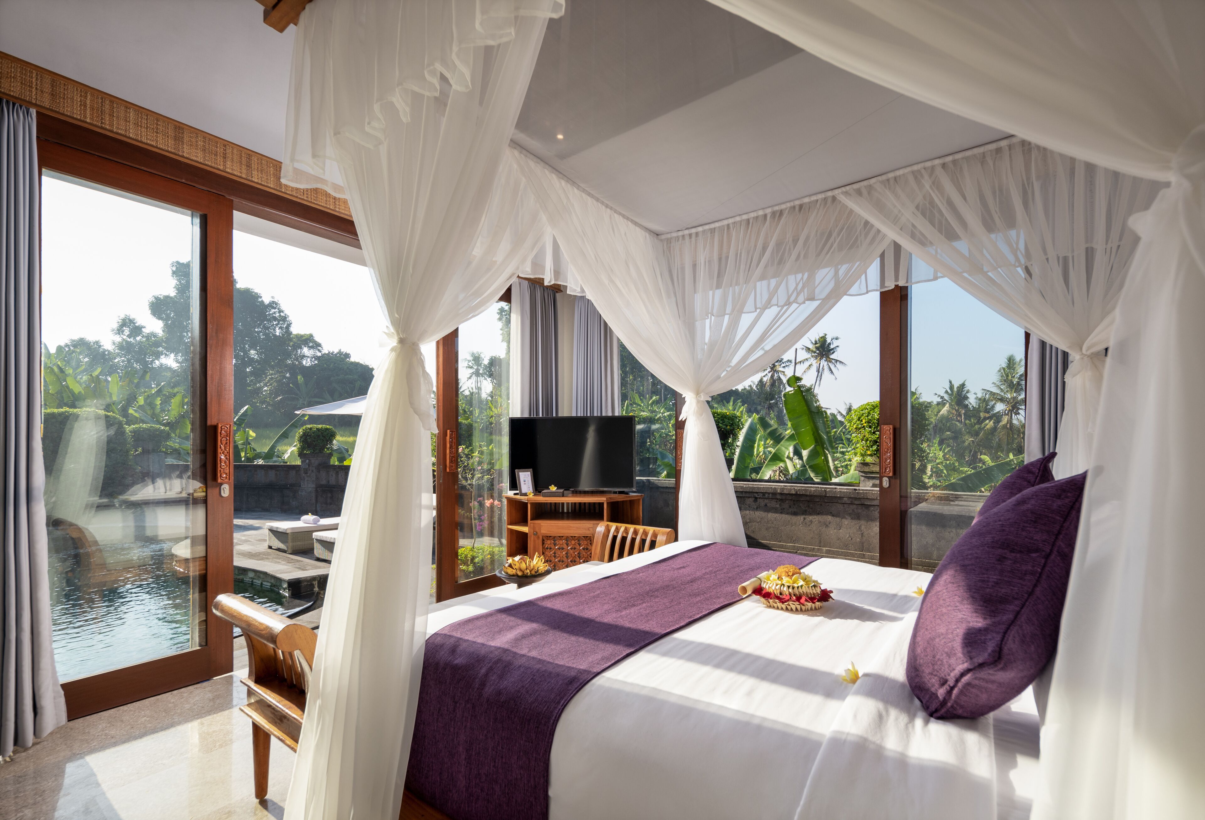 Swan Paradise a Pramana Experience