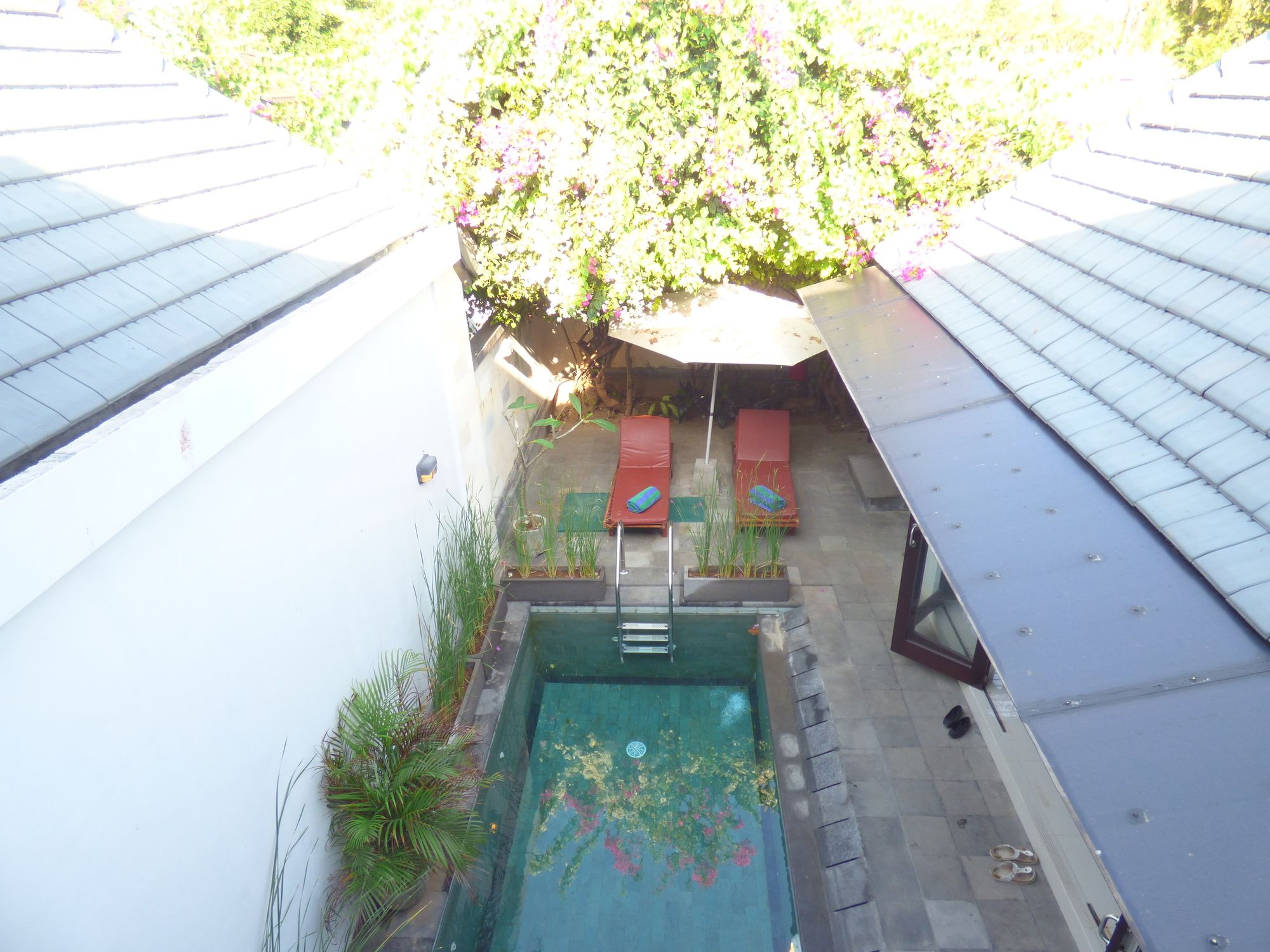 Angel Villa Kesari Sanur