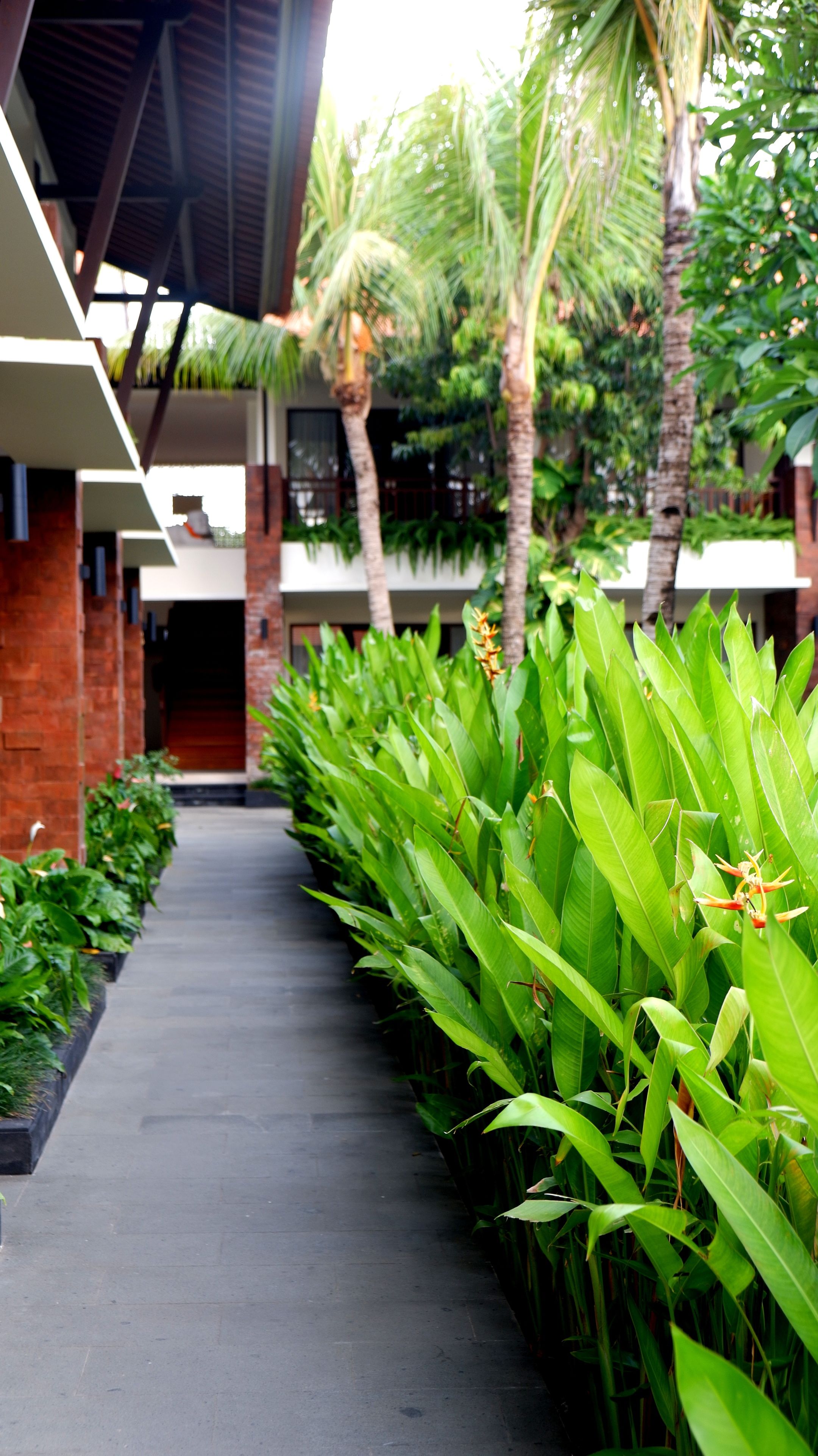 Arena Living Sanur