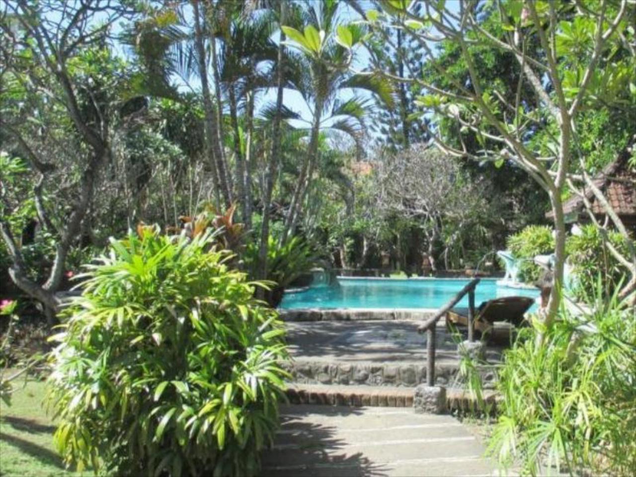 Bali Kembali