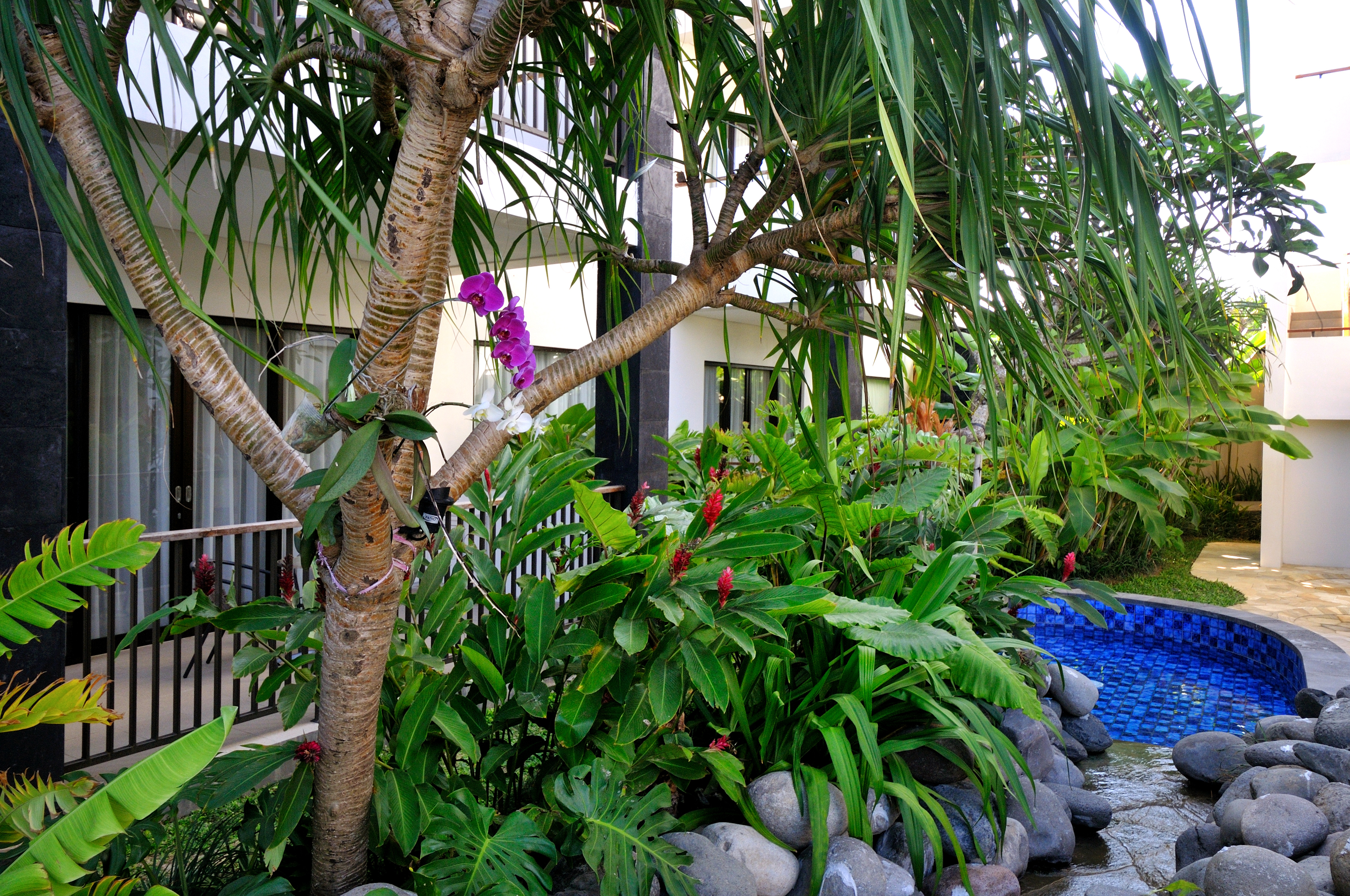 Taksu Sanur Hotel