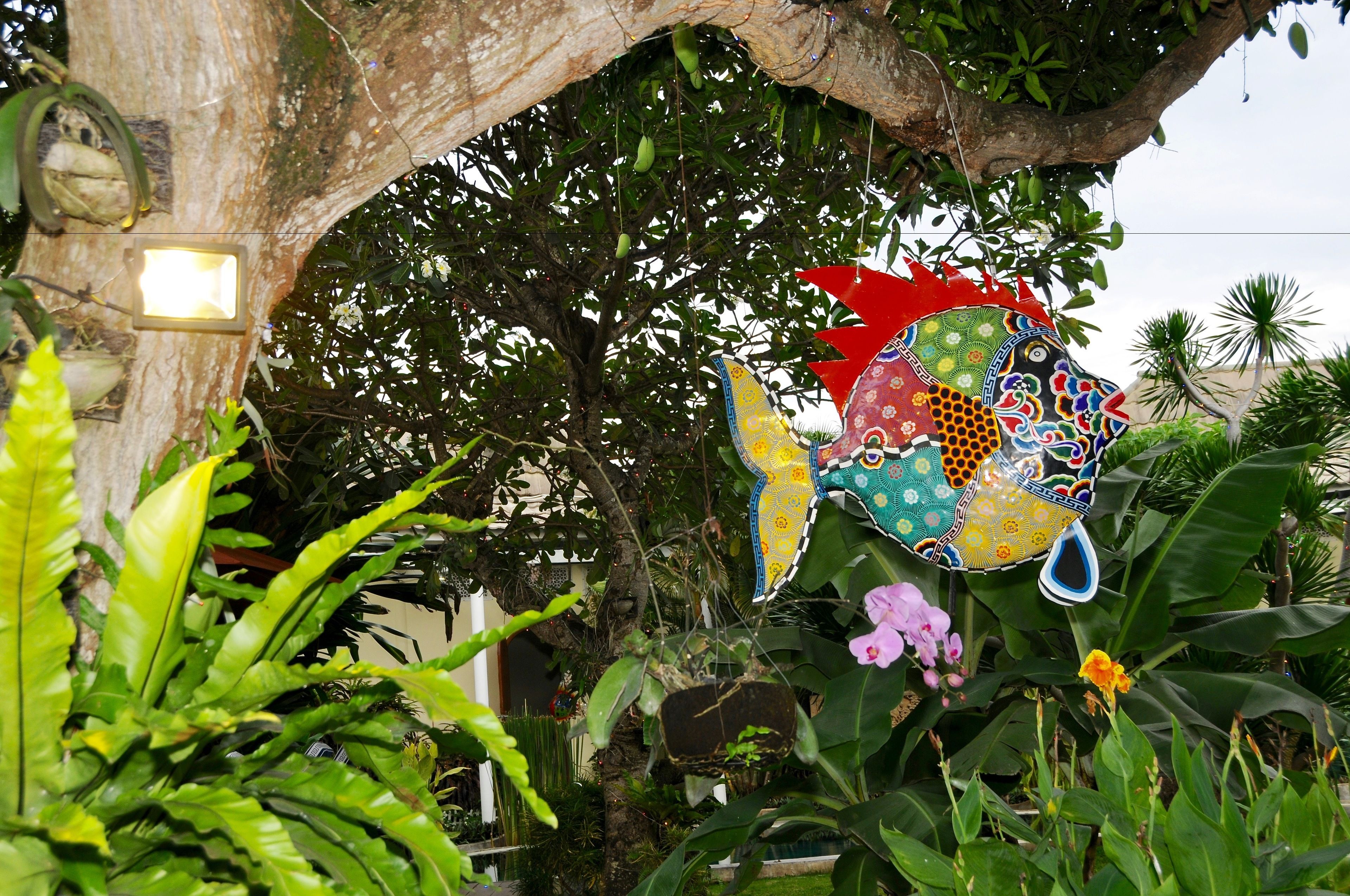 Villa Costa Plenty