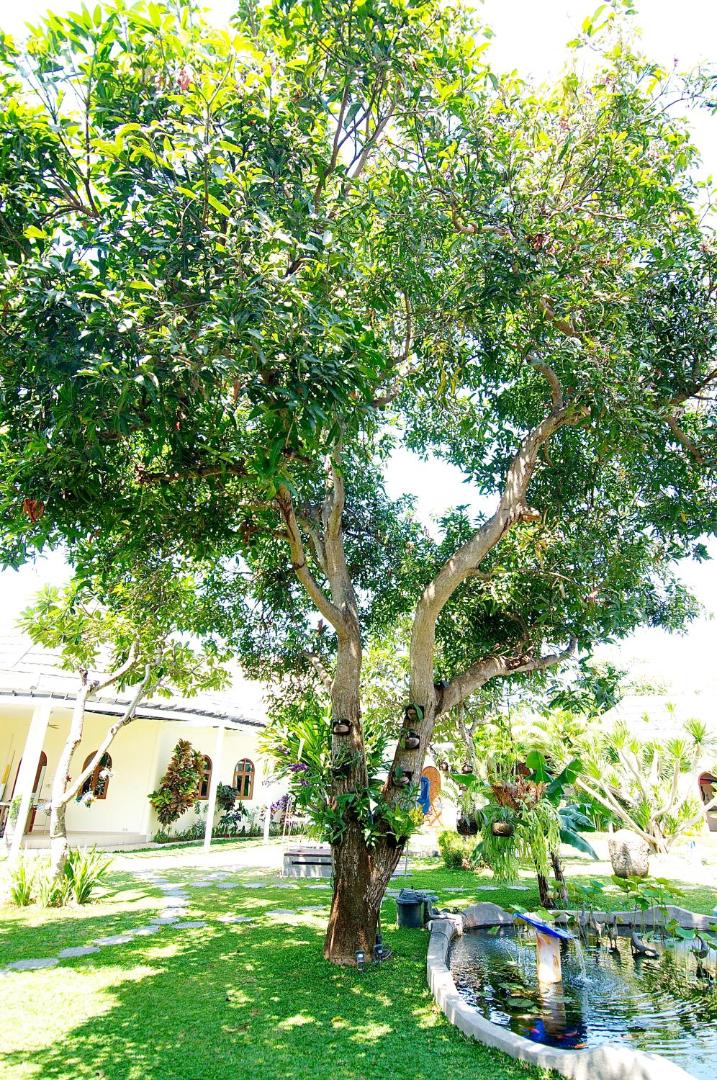 Villa Costa Plenty