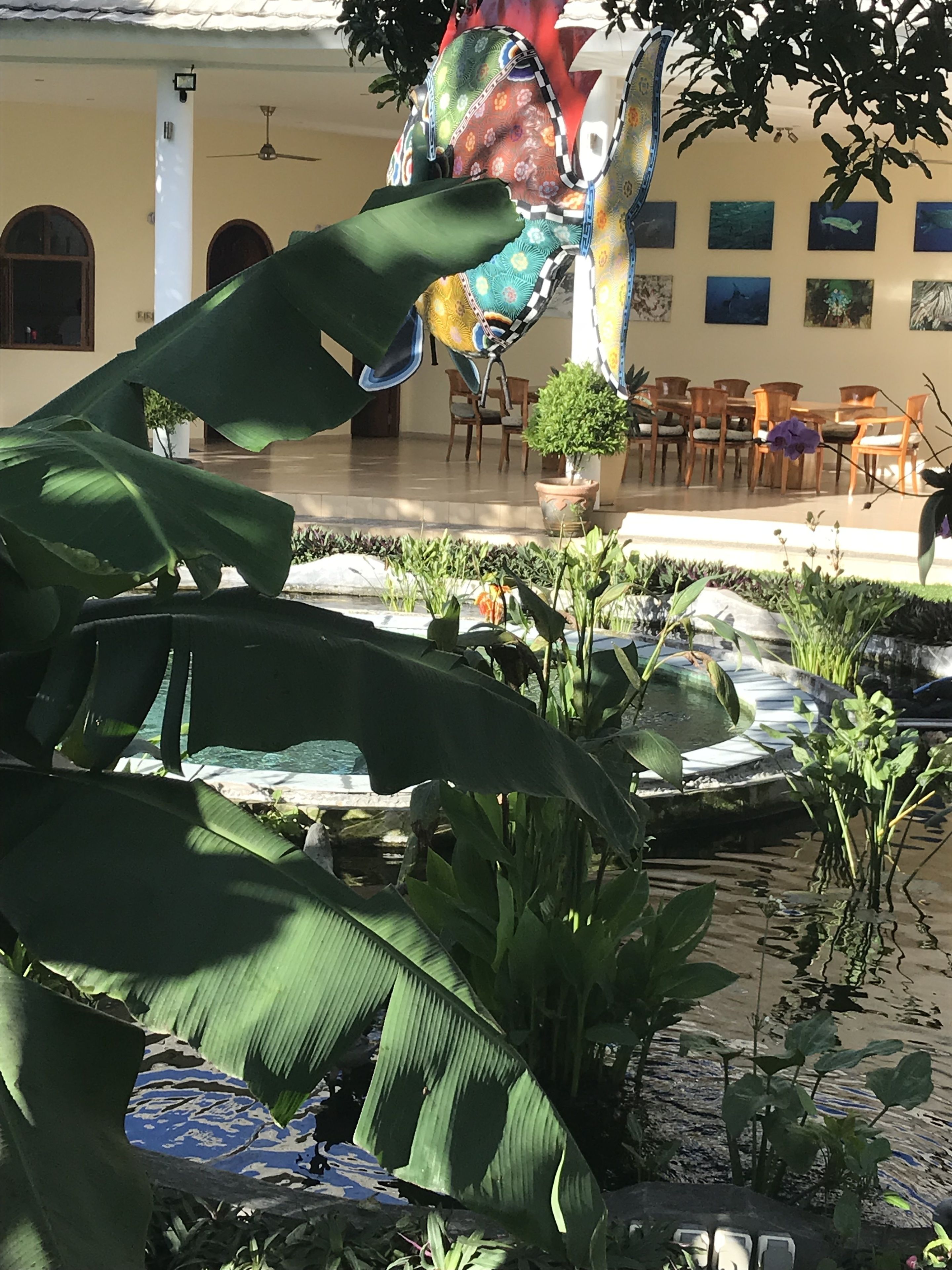 Villa Costa Plenty