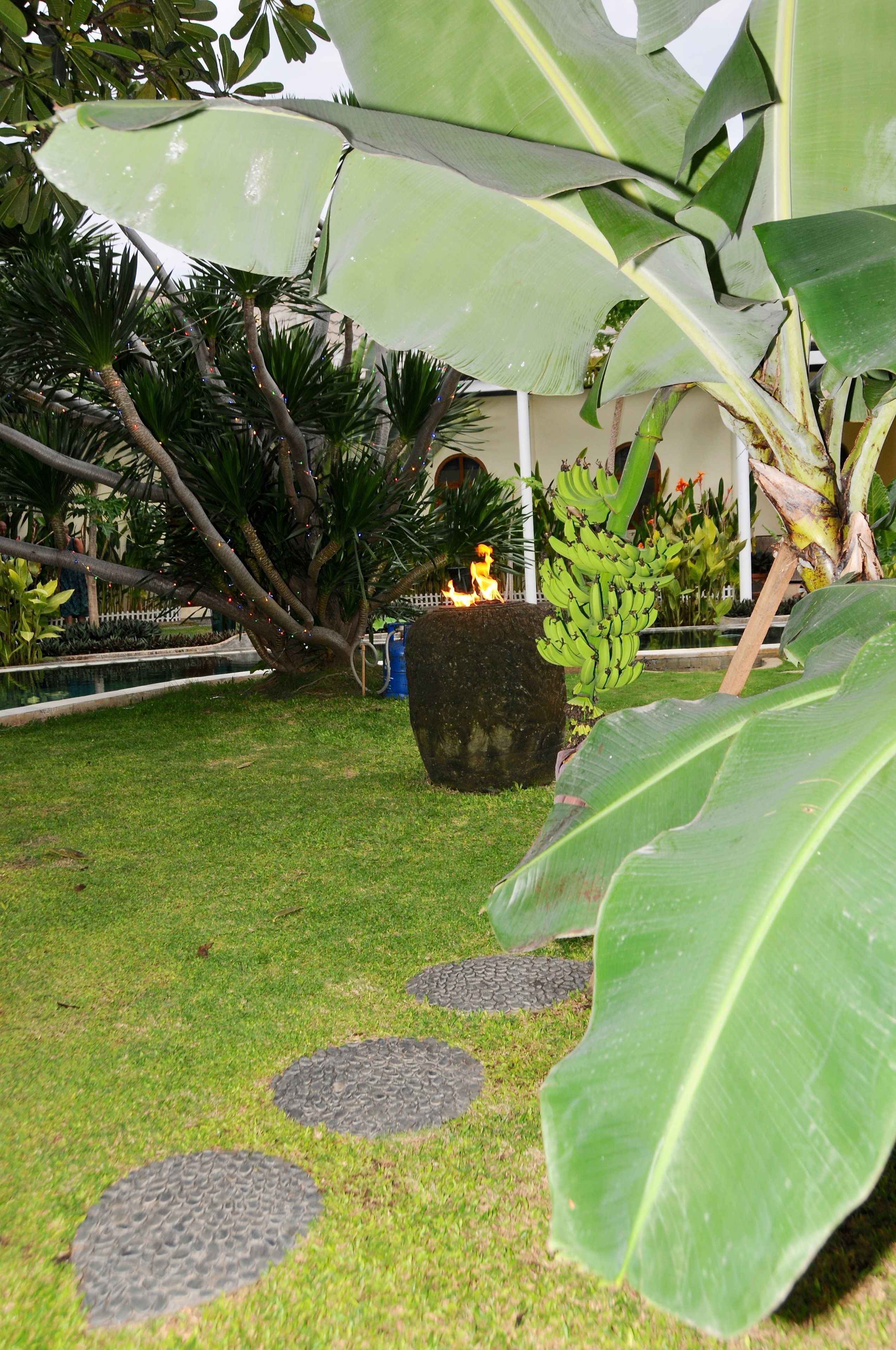 Villa Costa Plenty