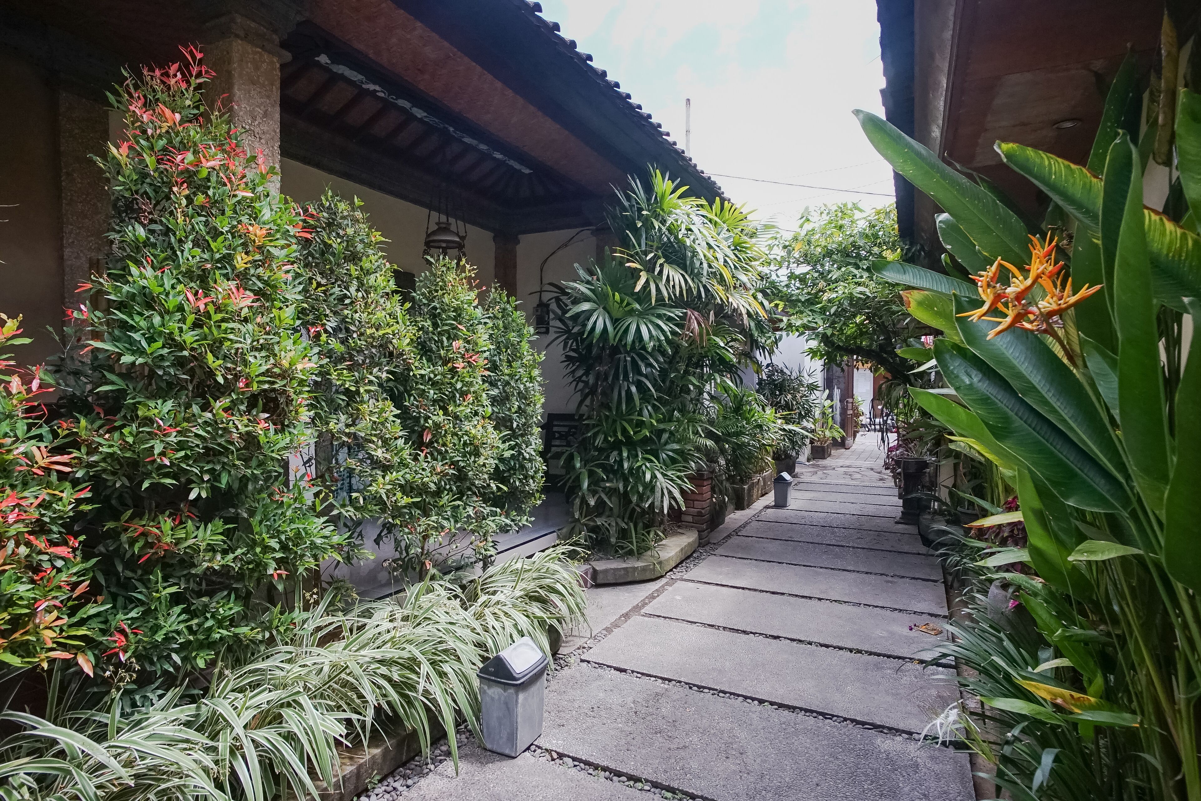 Wayan Homestay Sanur
