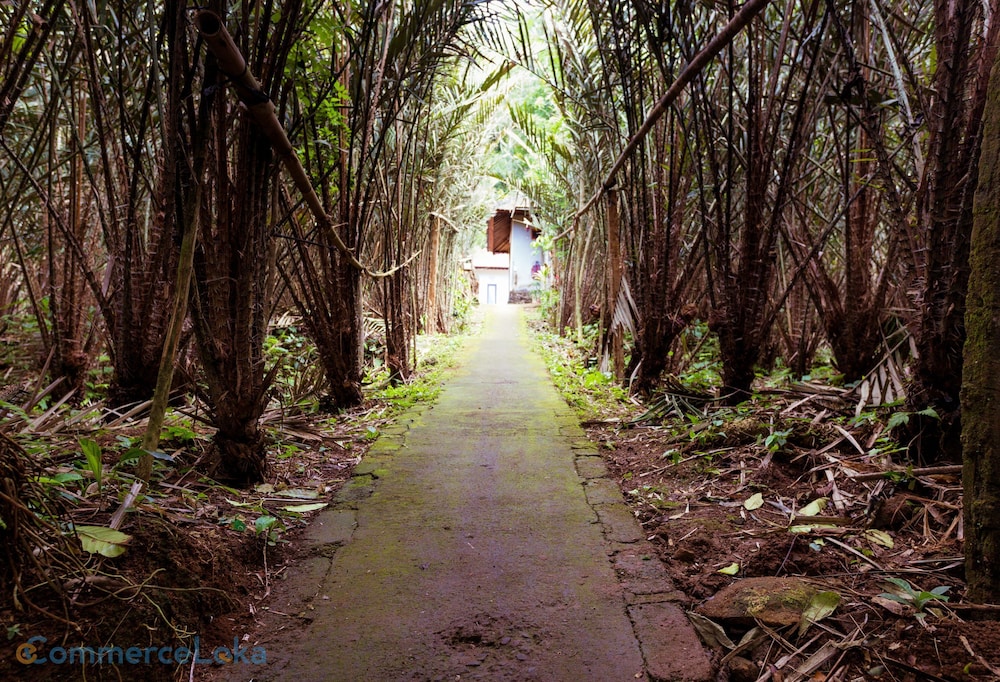 Desa Wisata Sibetan Homestay