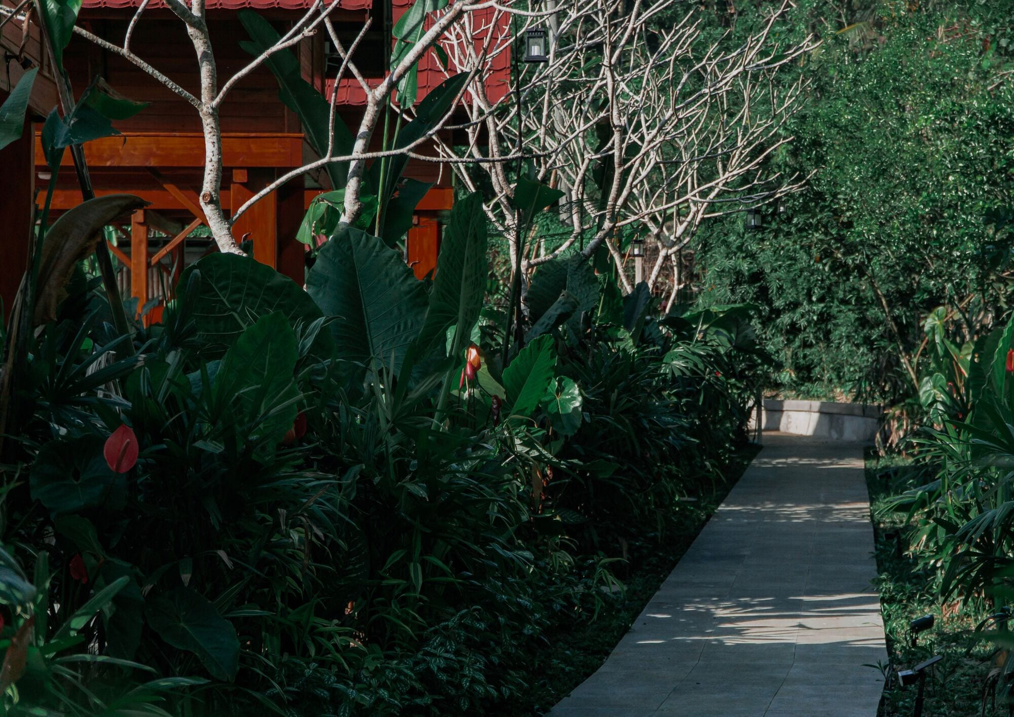 Kusfarm Bali