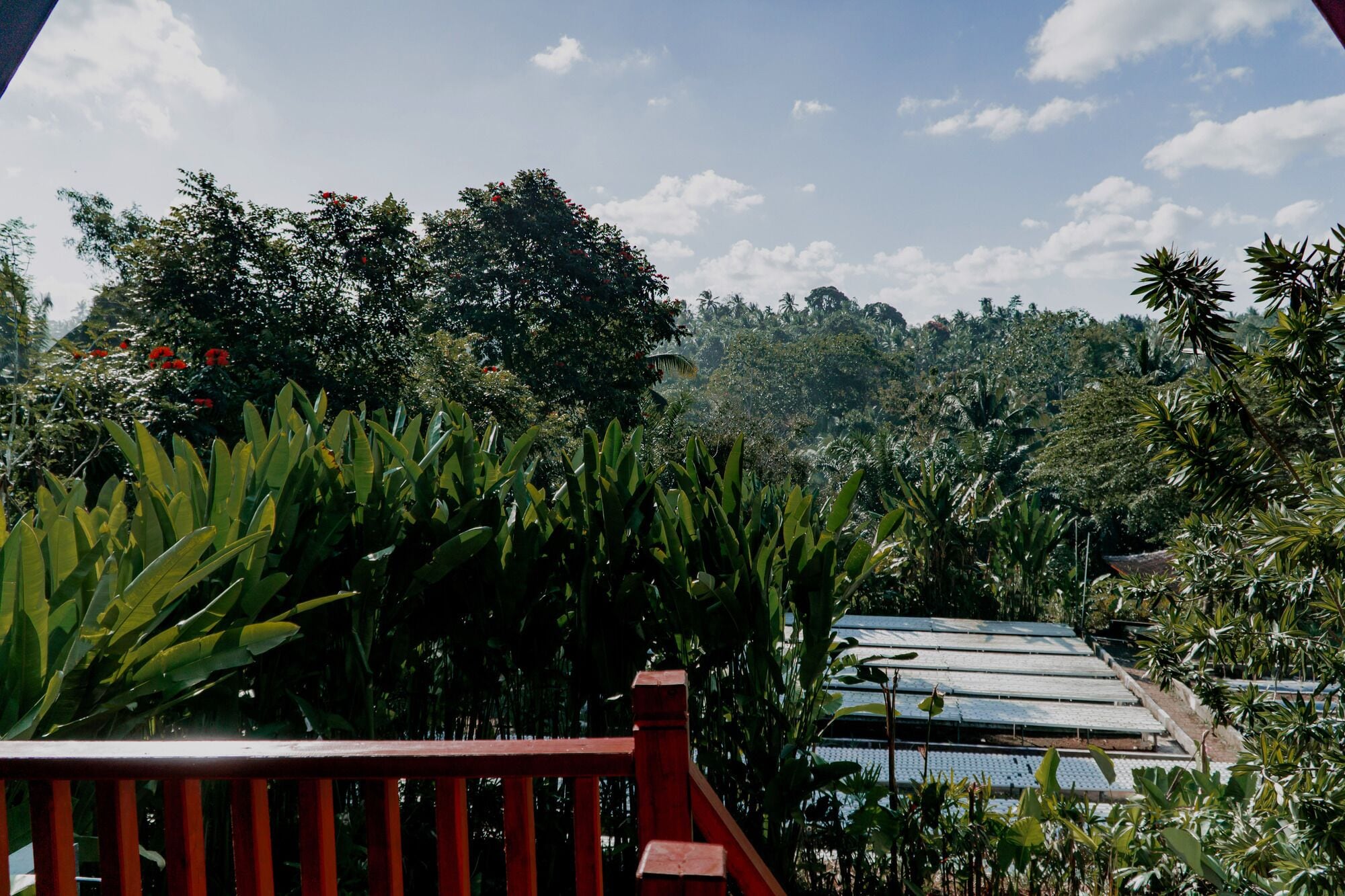 Kusfarm Bali