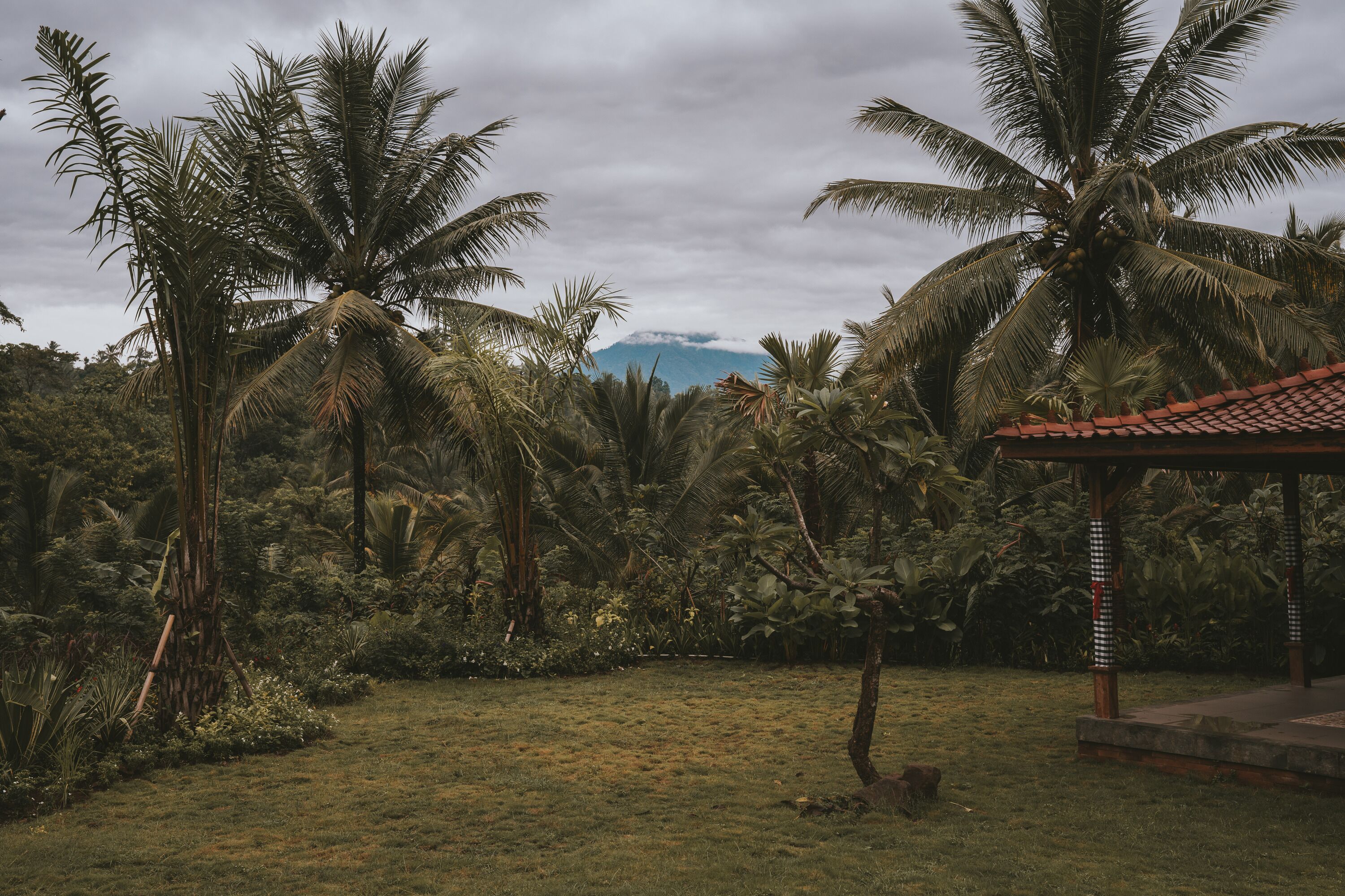 Kusfarm Bali