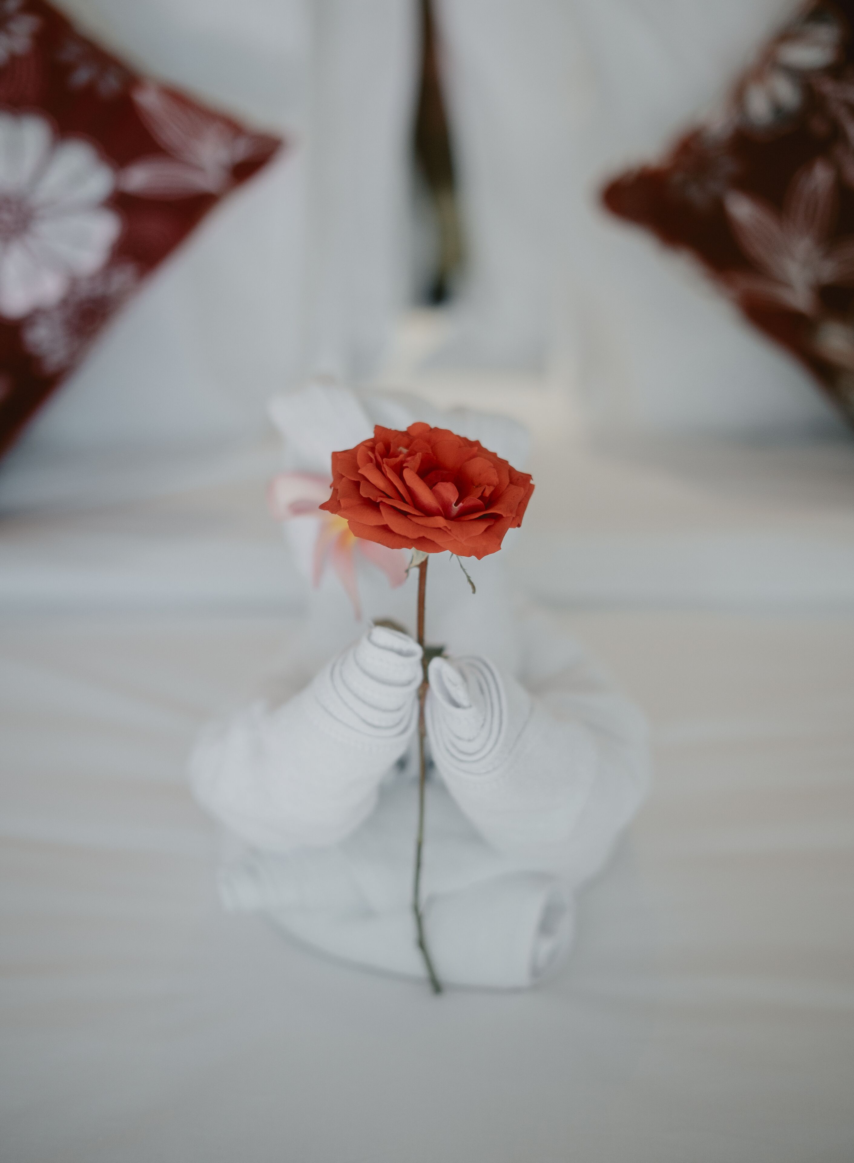 Alam Bidadari Seminyak Villa