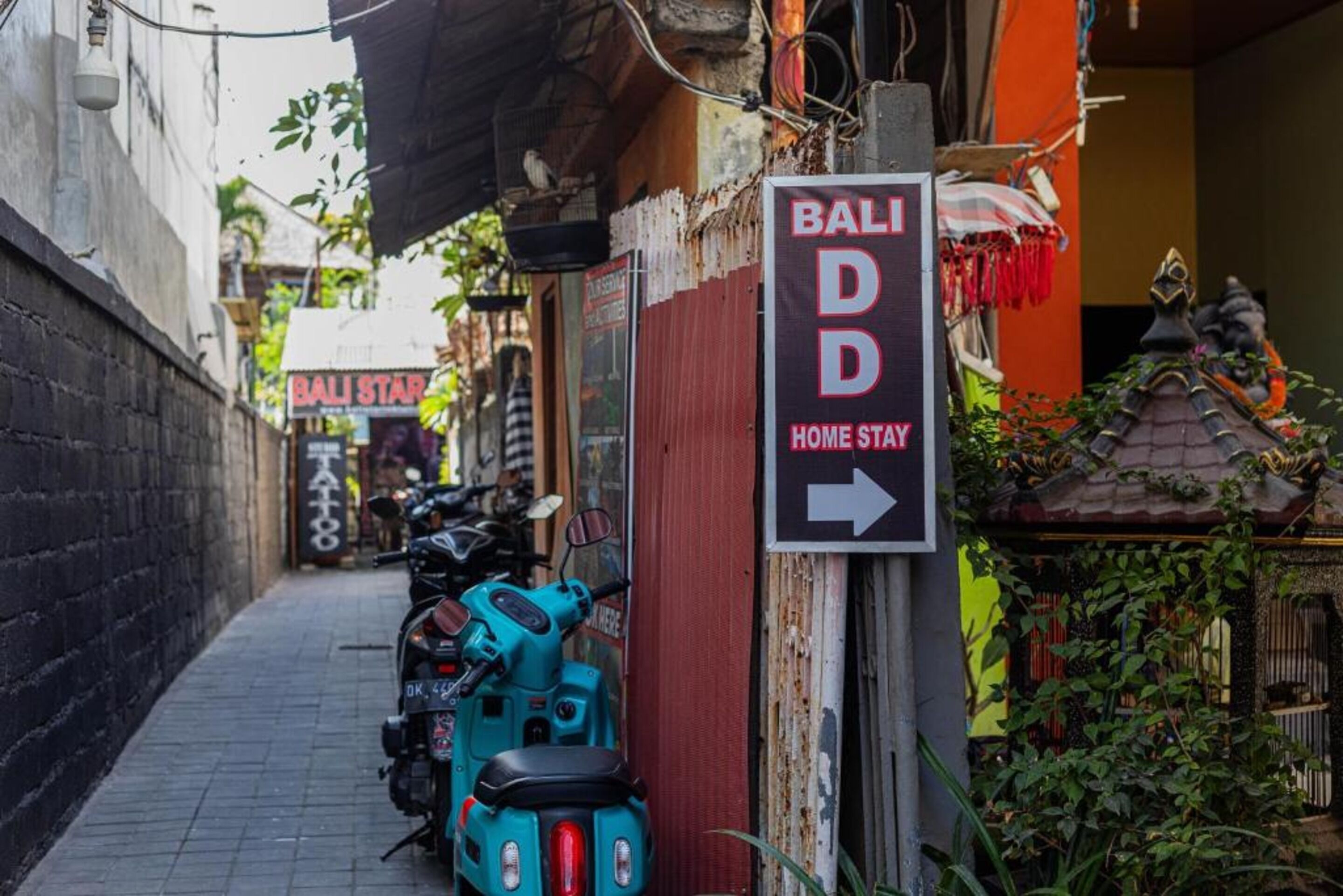 Bali Dd Homestay