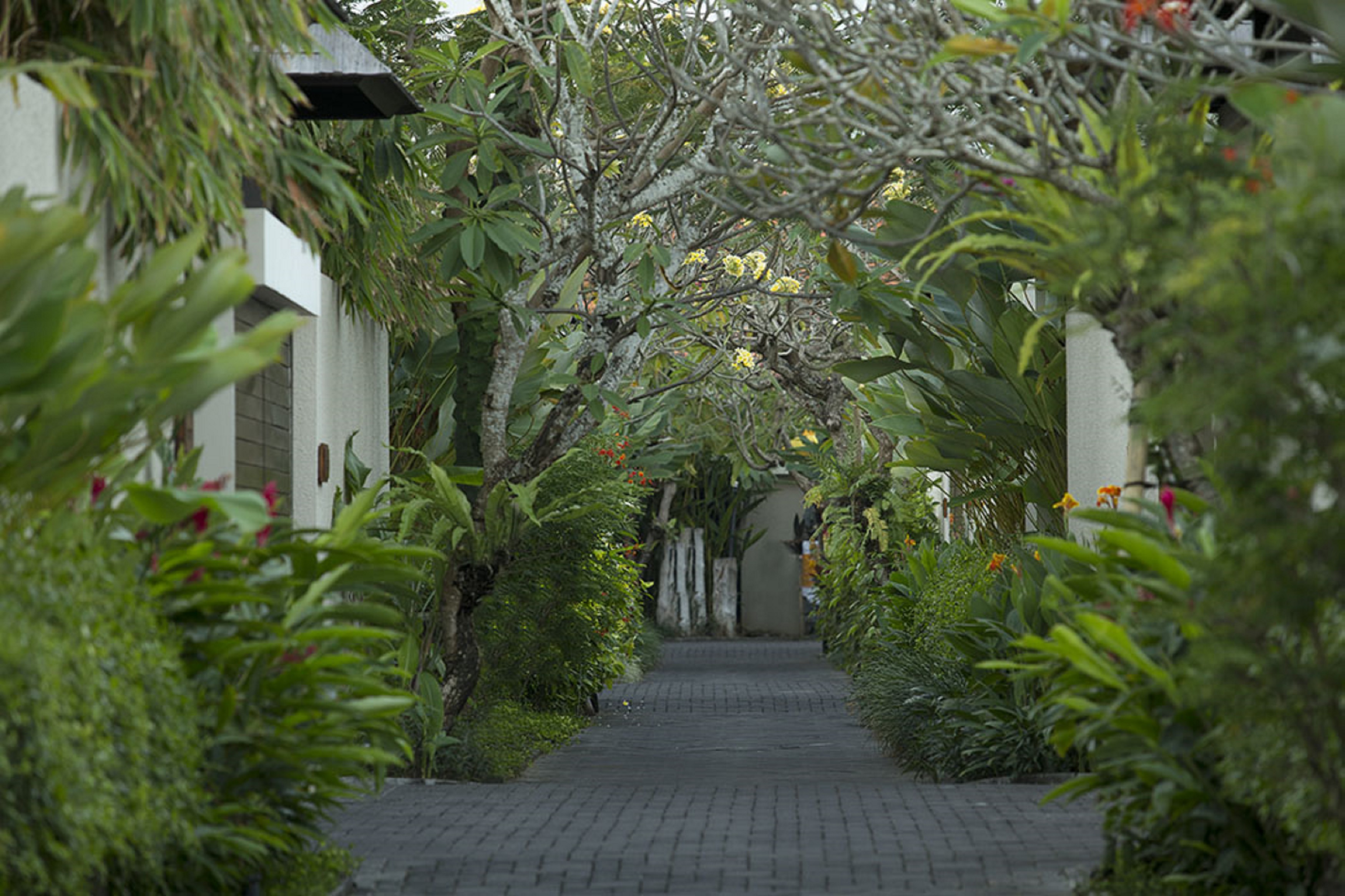 Berry Amour Romantic Villas