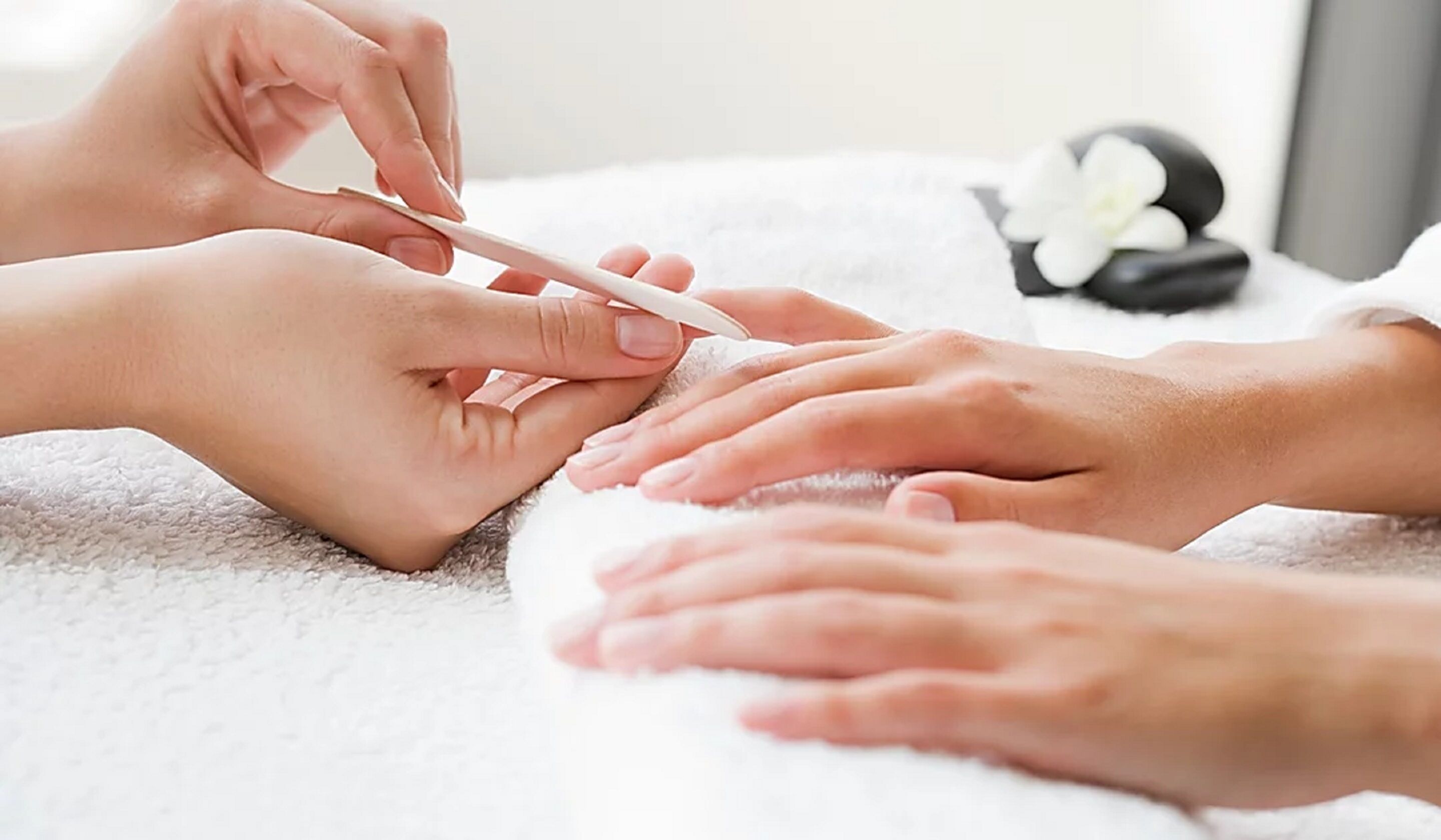 Cicada Luxury Townhouses