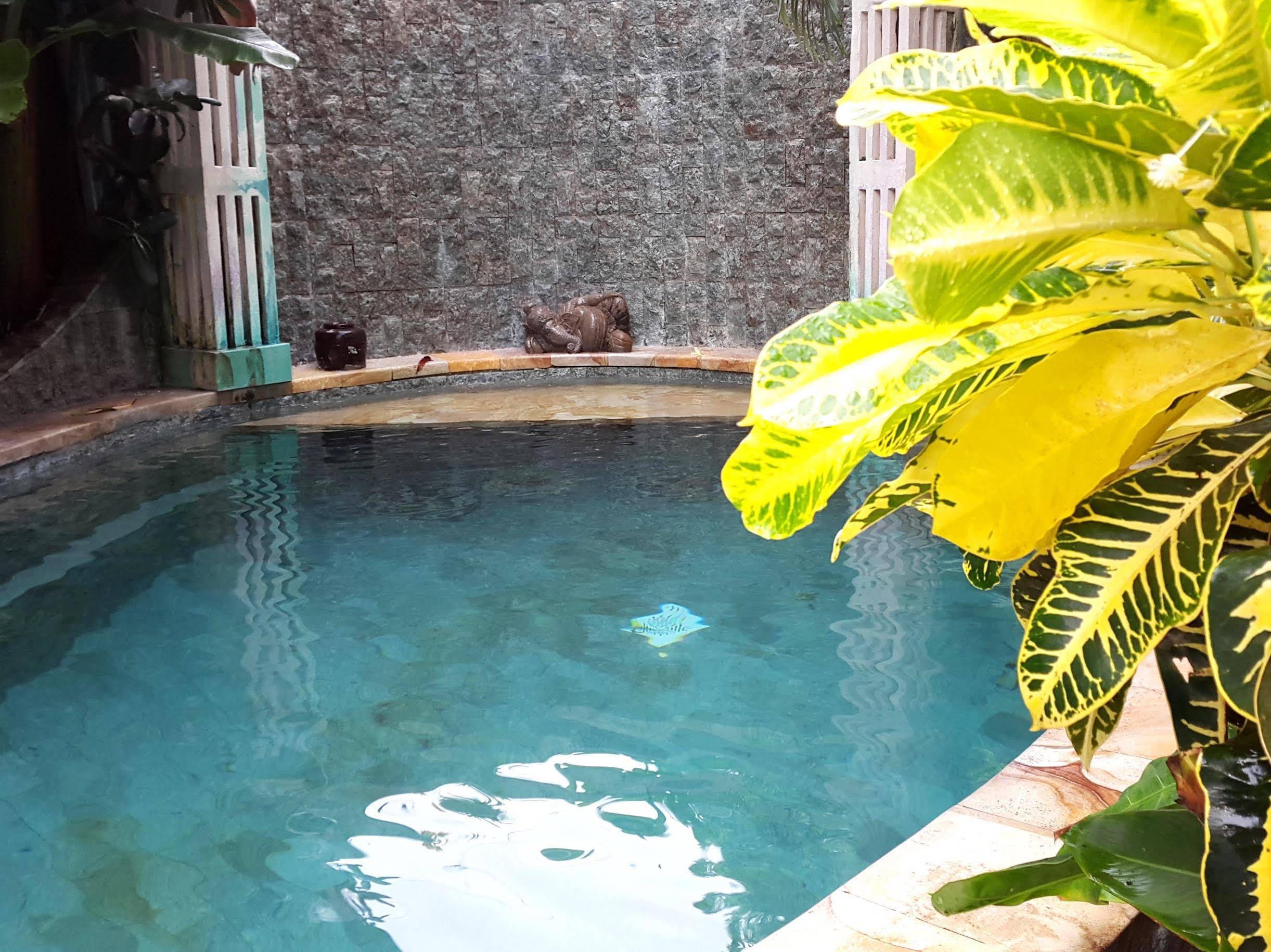 Green Chaka Paradise Villa