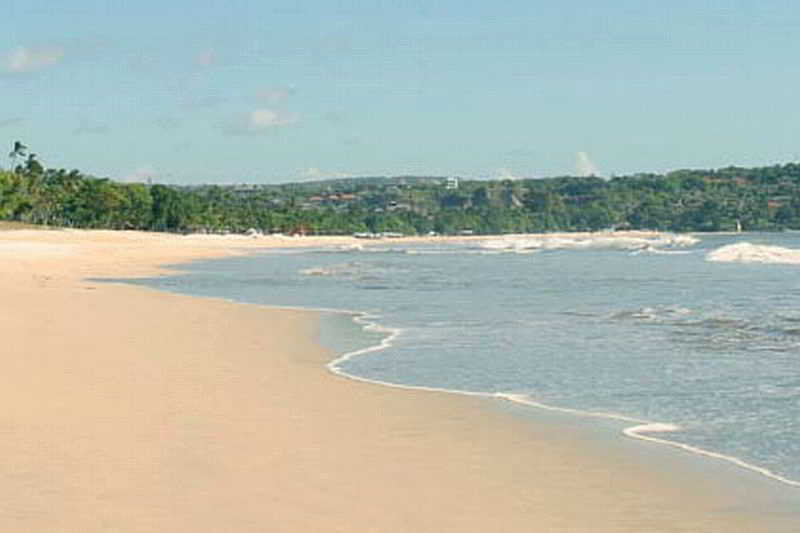 The Amala Estate