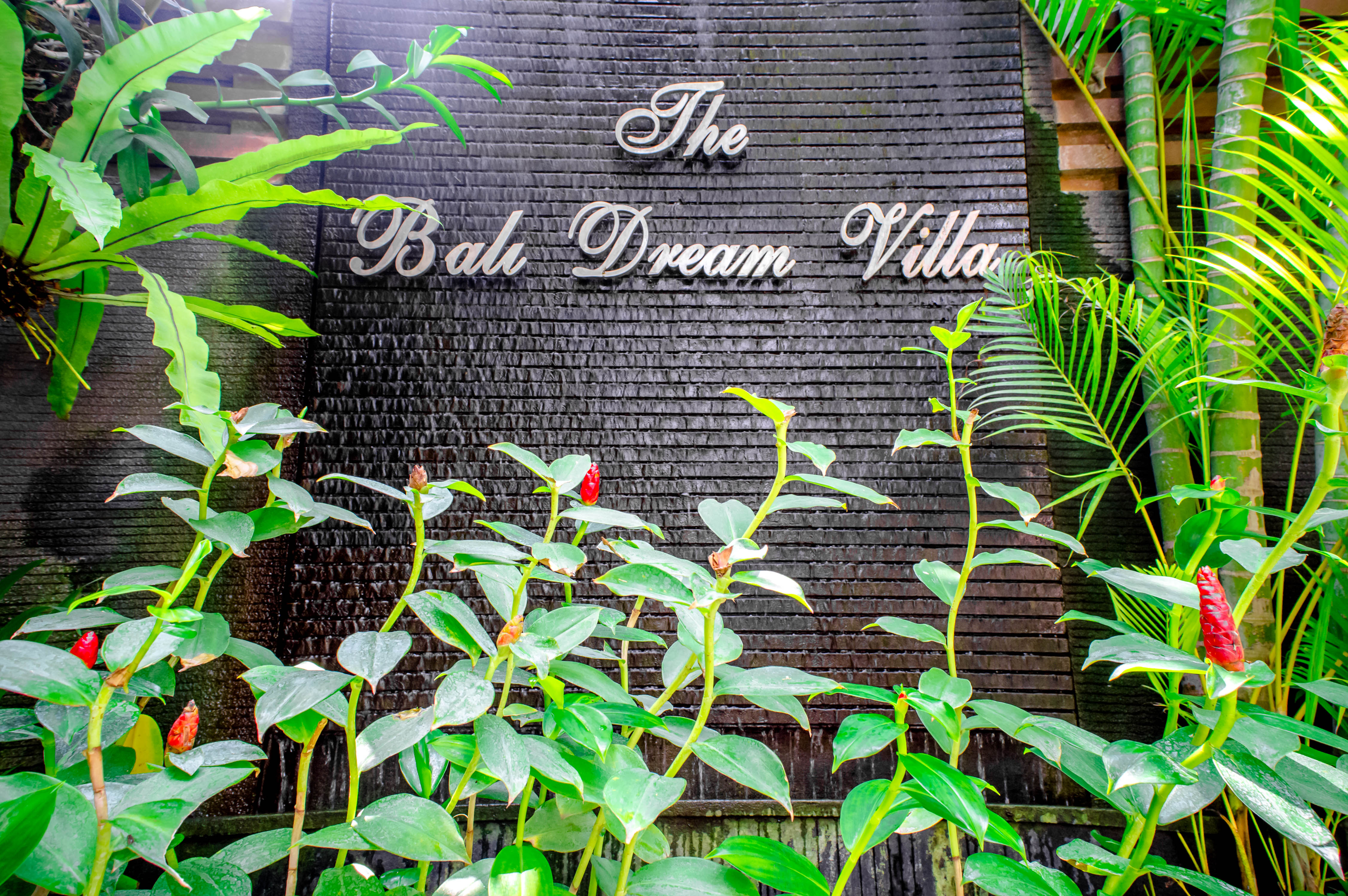The Bali Dream Villa Seminyak