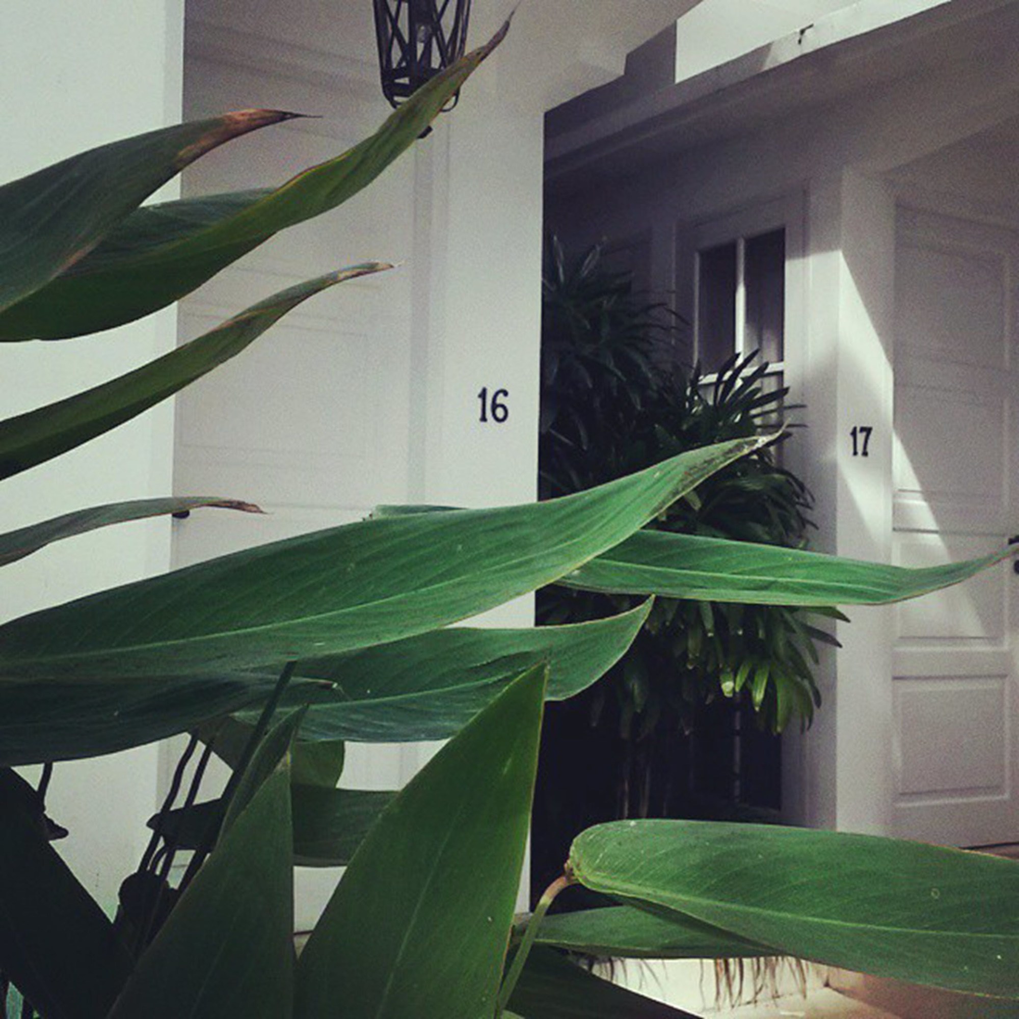 The Colony Hotel Bali