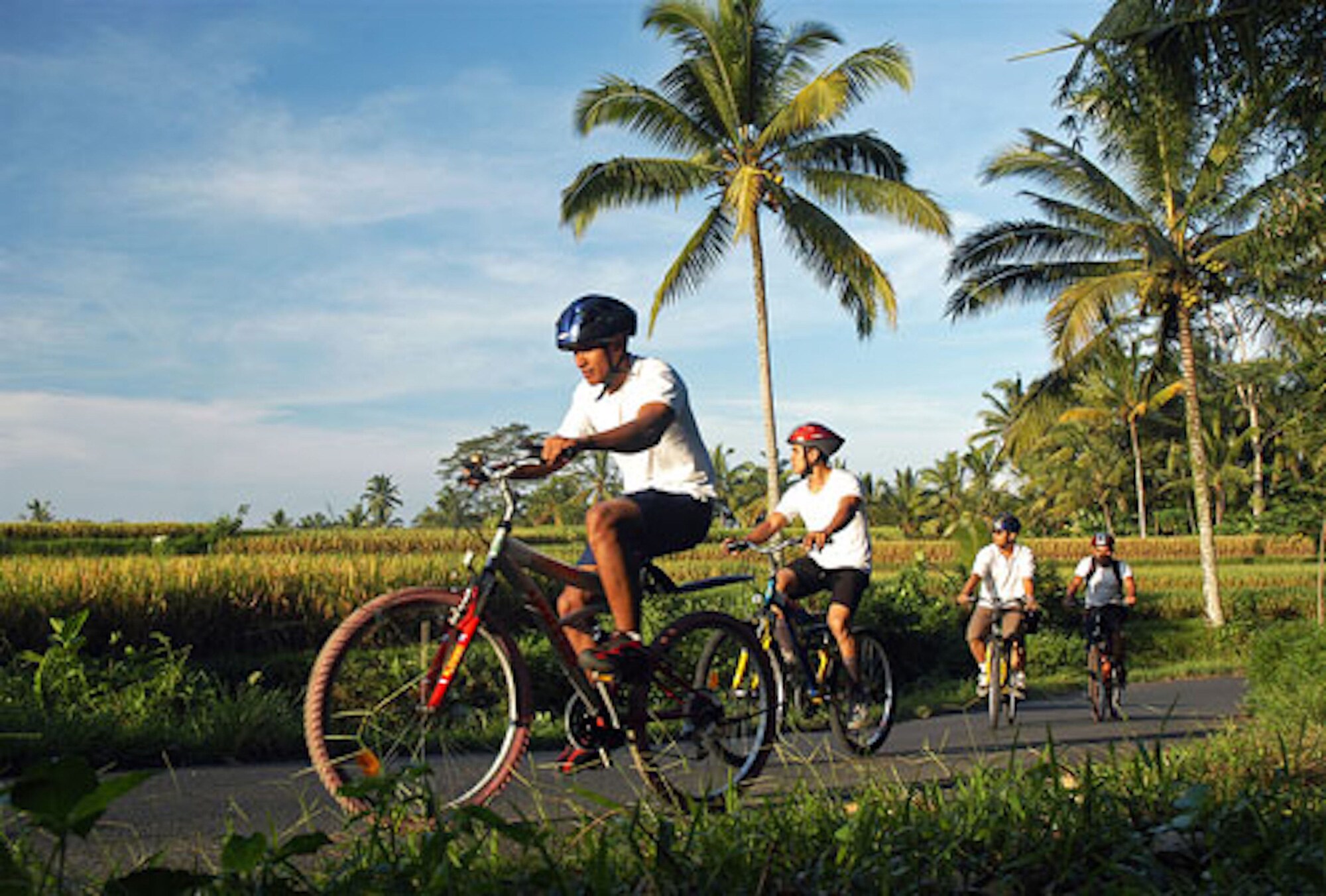 The Mawar Estate