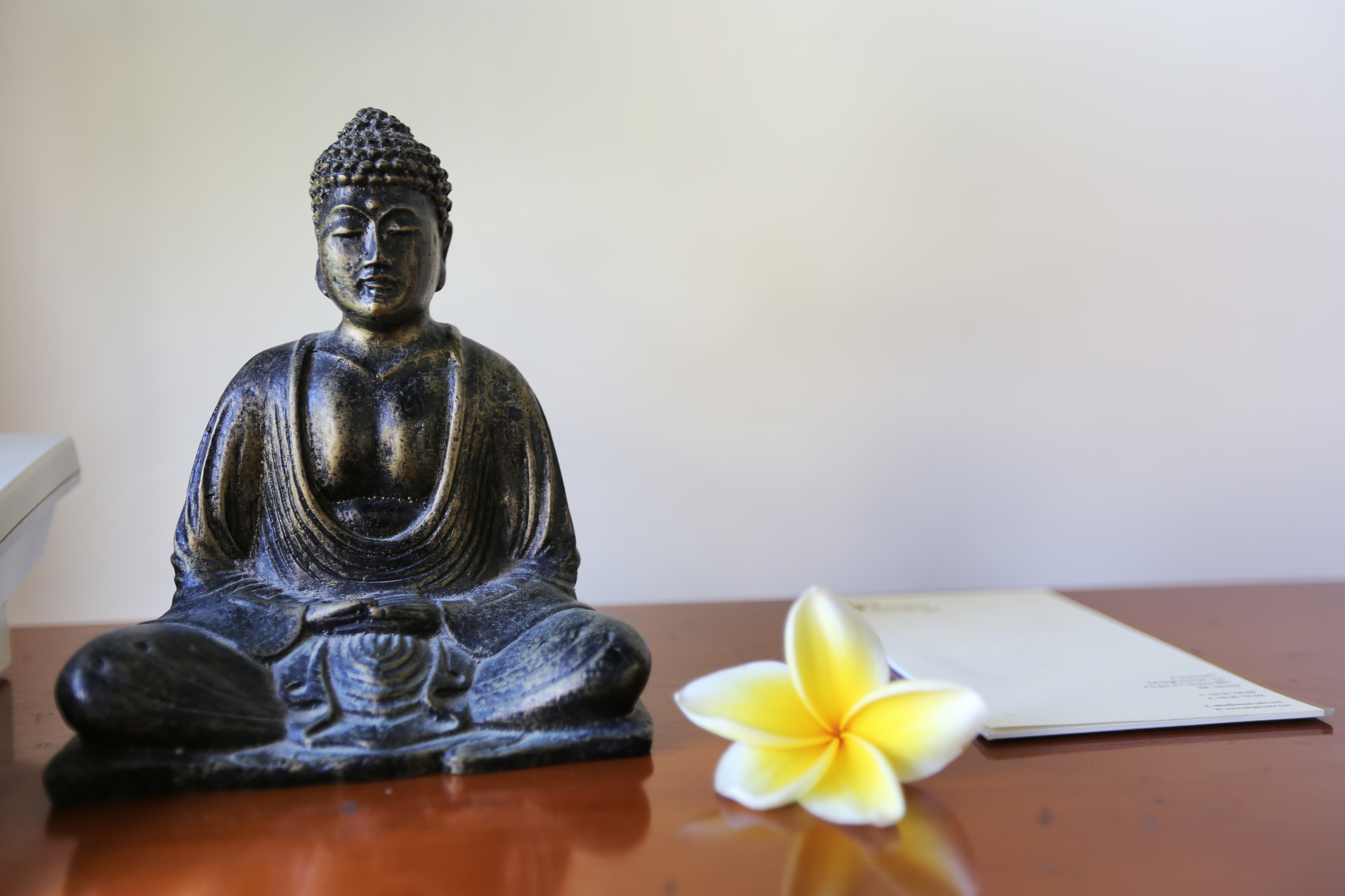 The Sanyas Suite