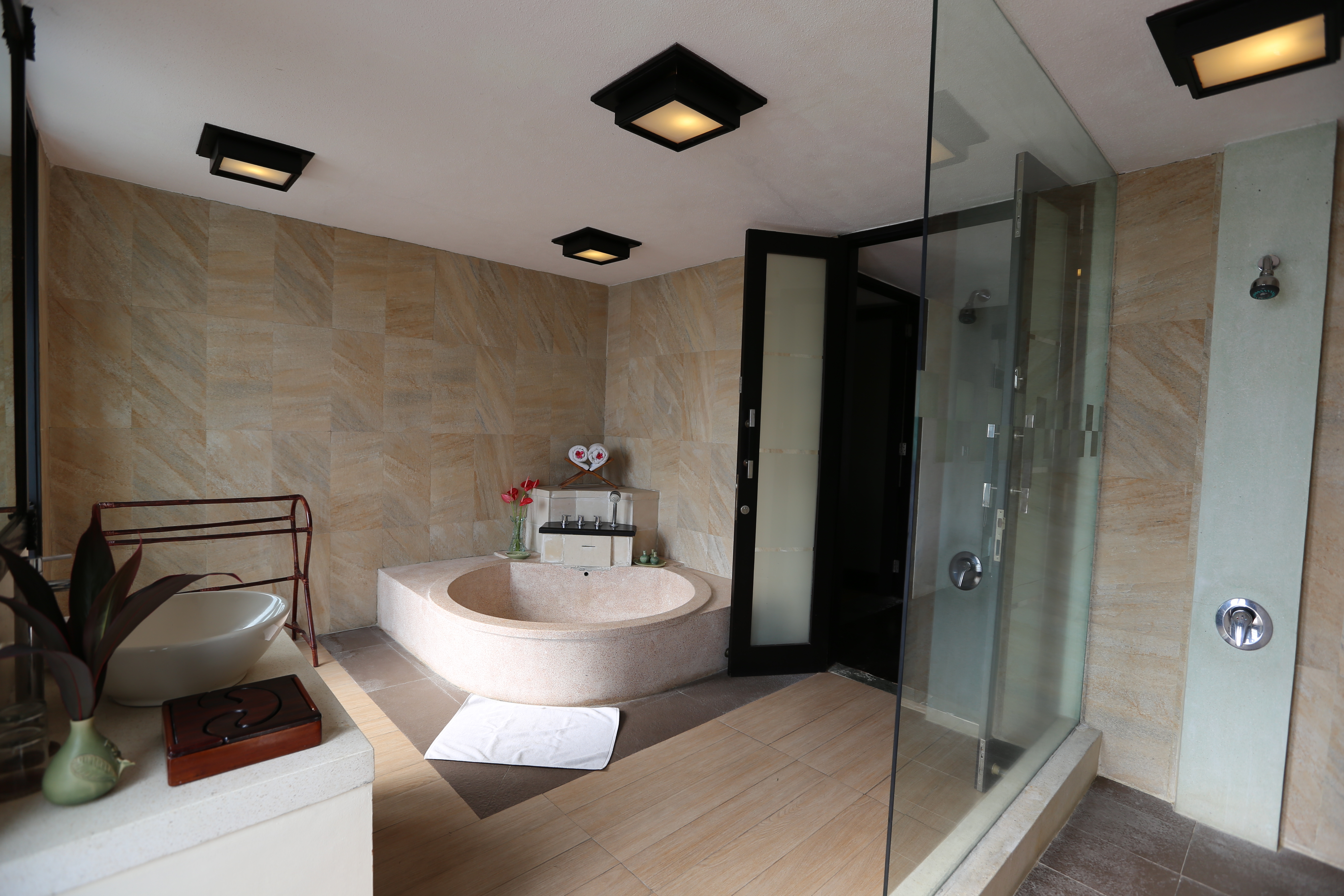 The Sanyas Suite