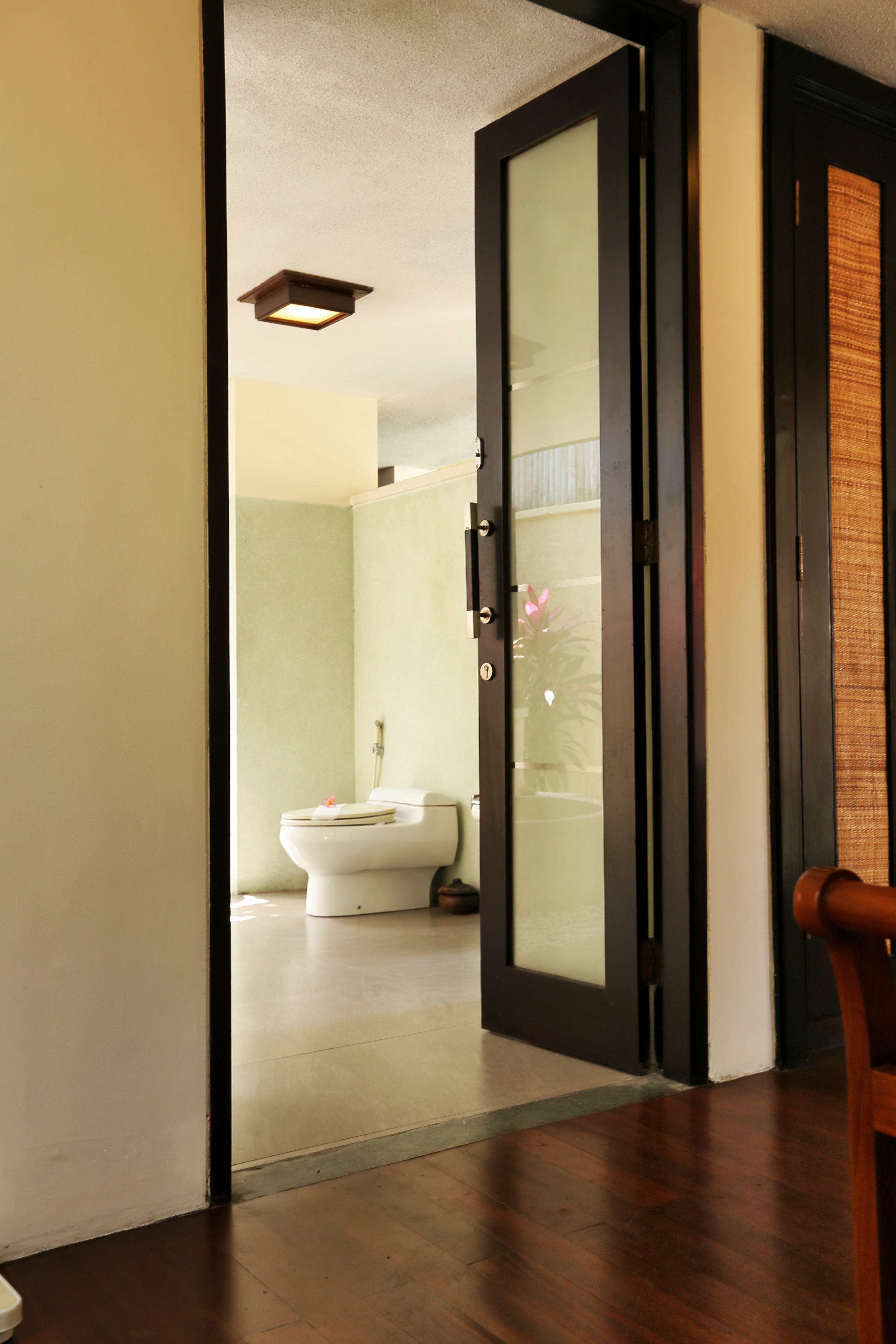 The Sanyas Suite