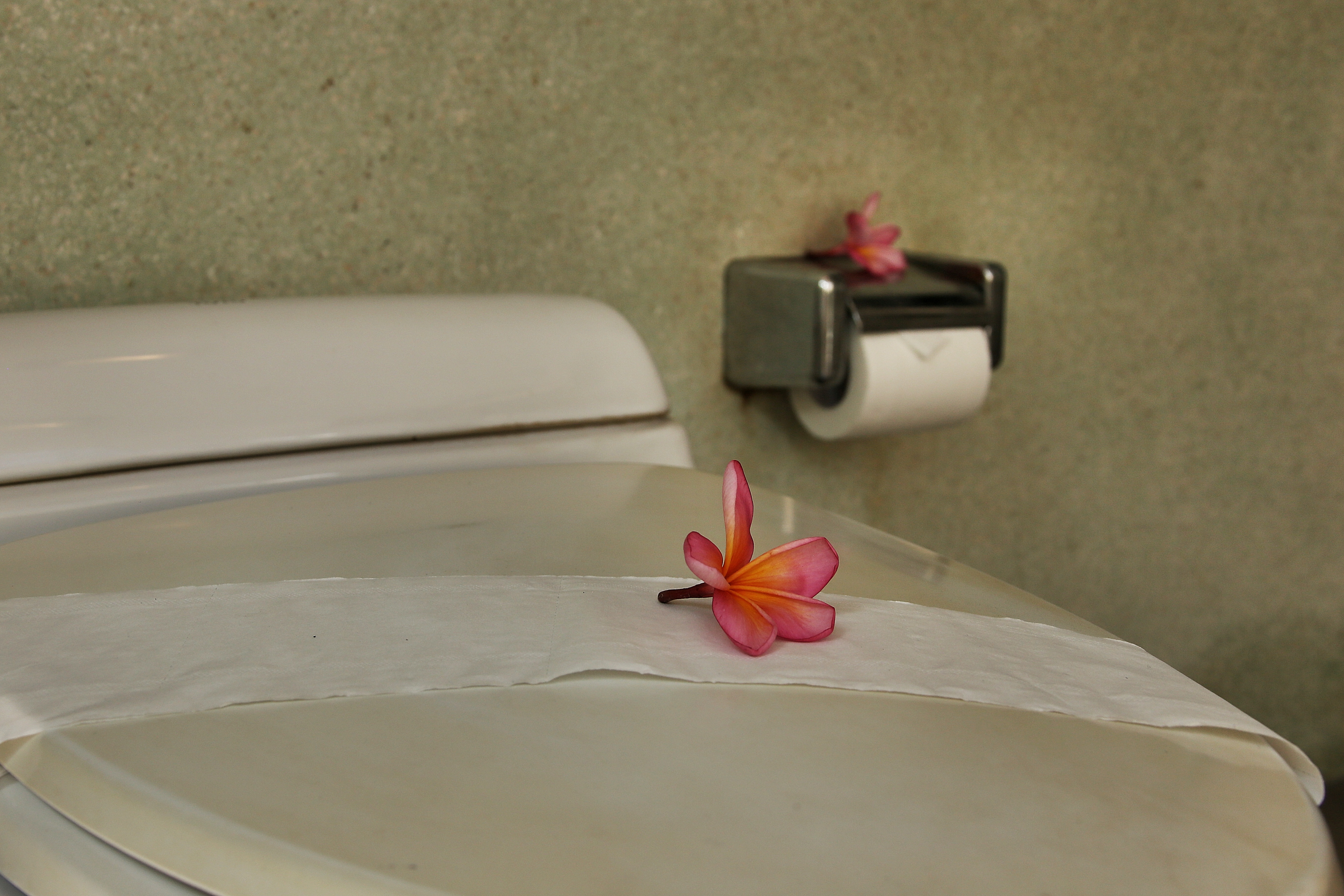 The Sanyas Suite