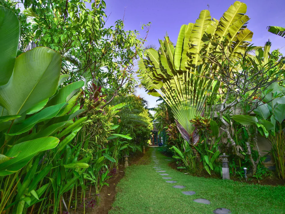The Villas Ku